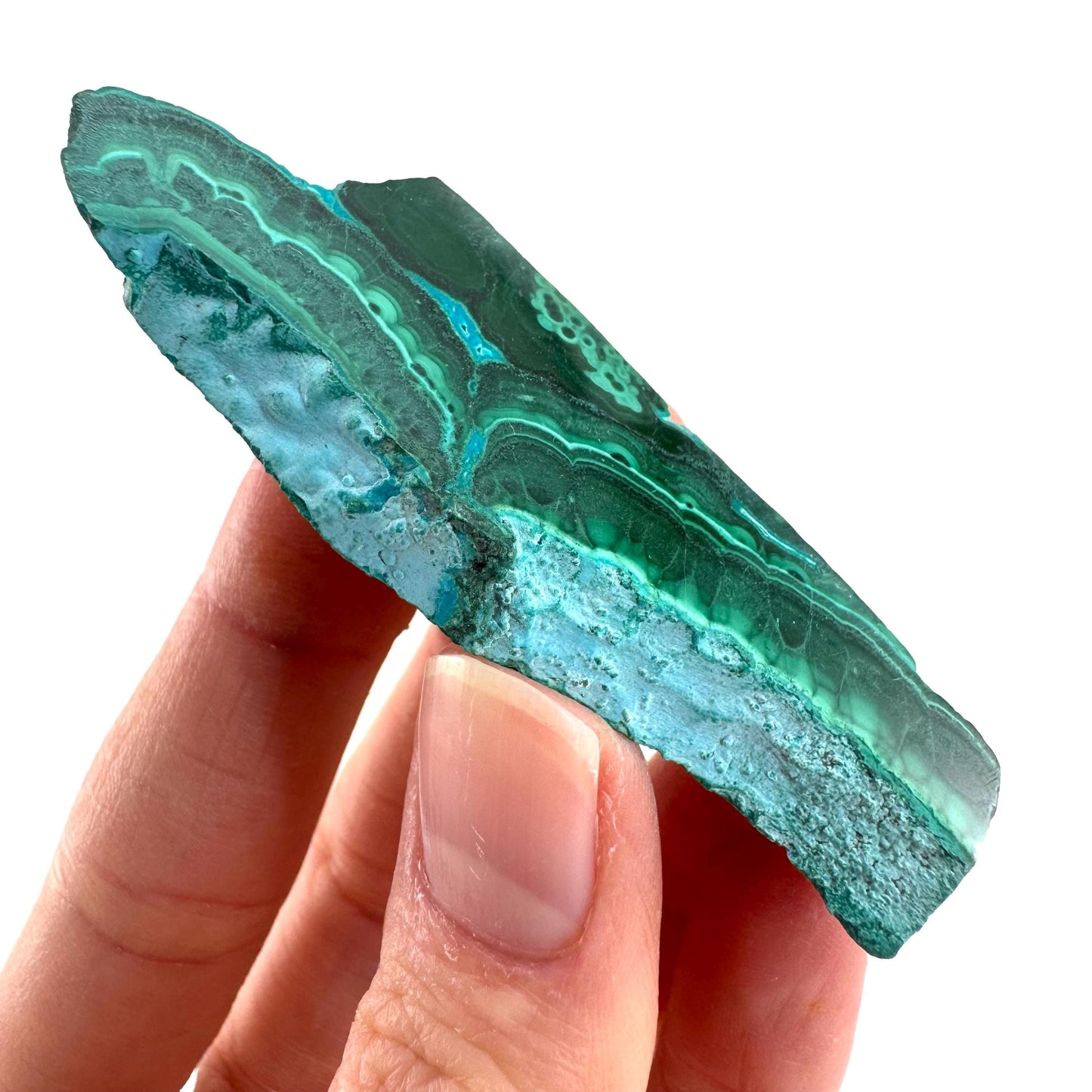 Malachite & Chrysocolla Slice | Polished Malacolla Crystal Slab