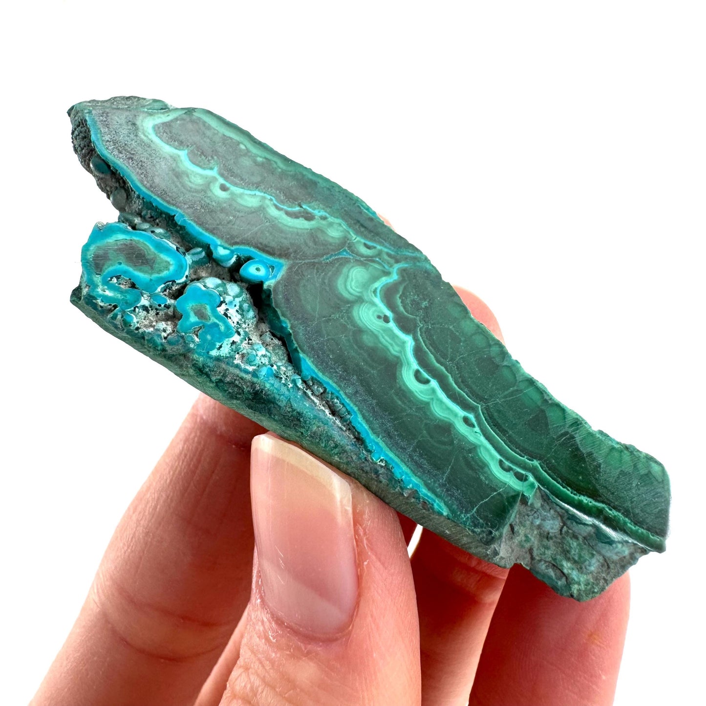 Malachite & Chrysocolla Slice | Polished Malacolla Crystal Slab