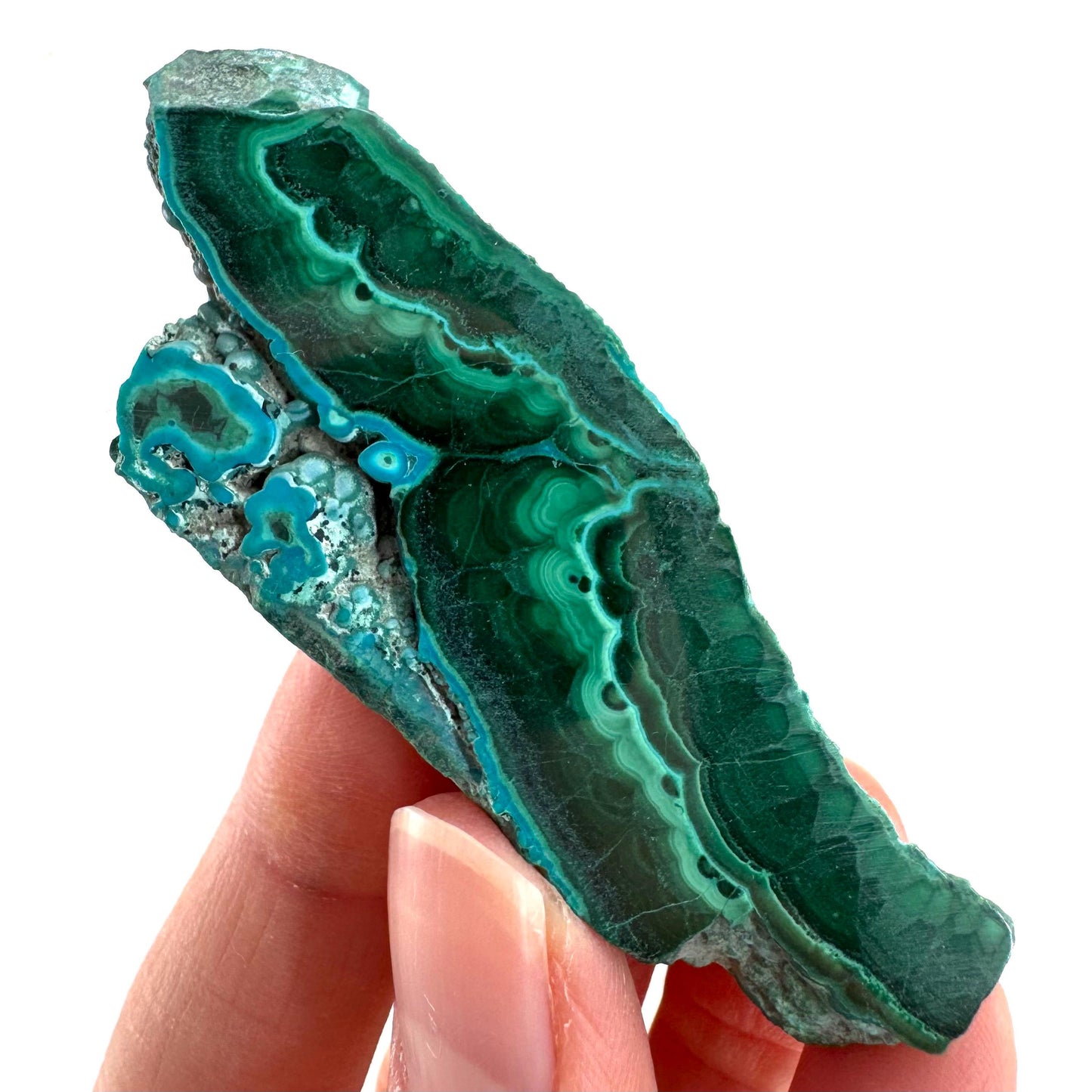 Malachite & Chrysocolla Slice | Polished Malacolla Crystal Slab