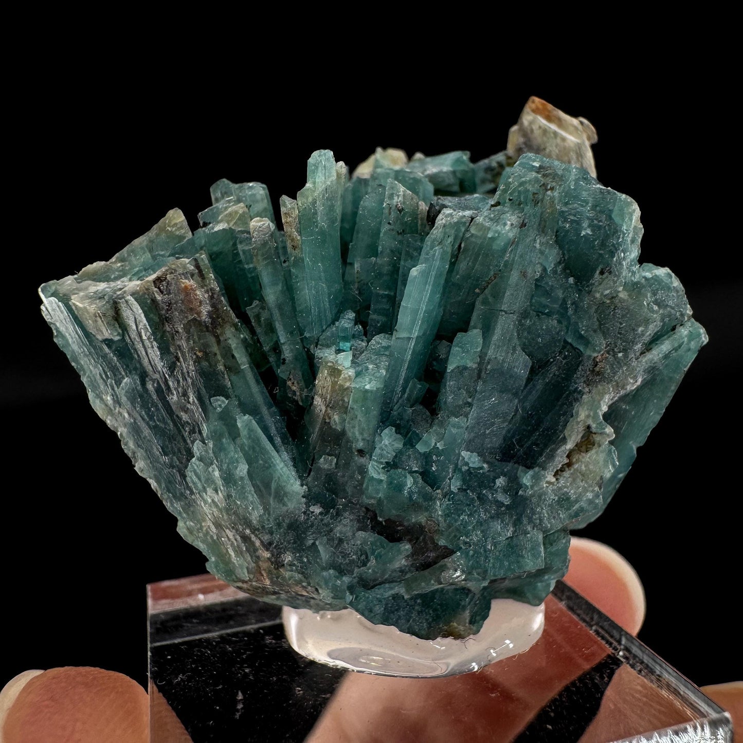 Grandidierite | blue crystal with terminated faces, rare mineral specimen from Madagascar