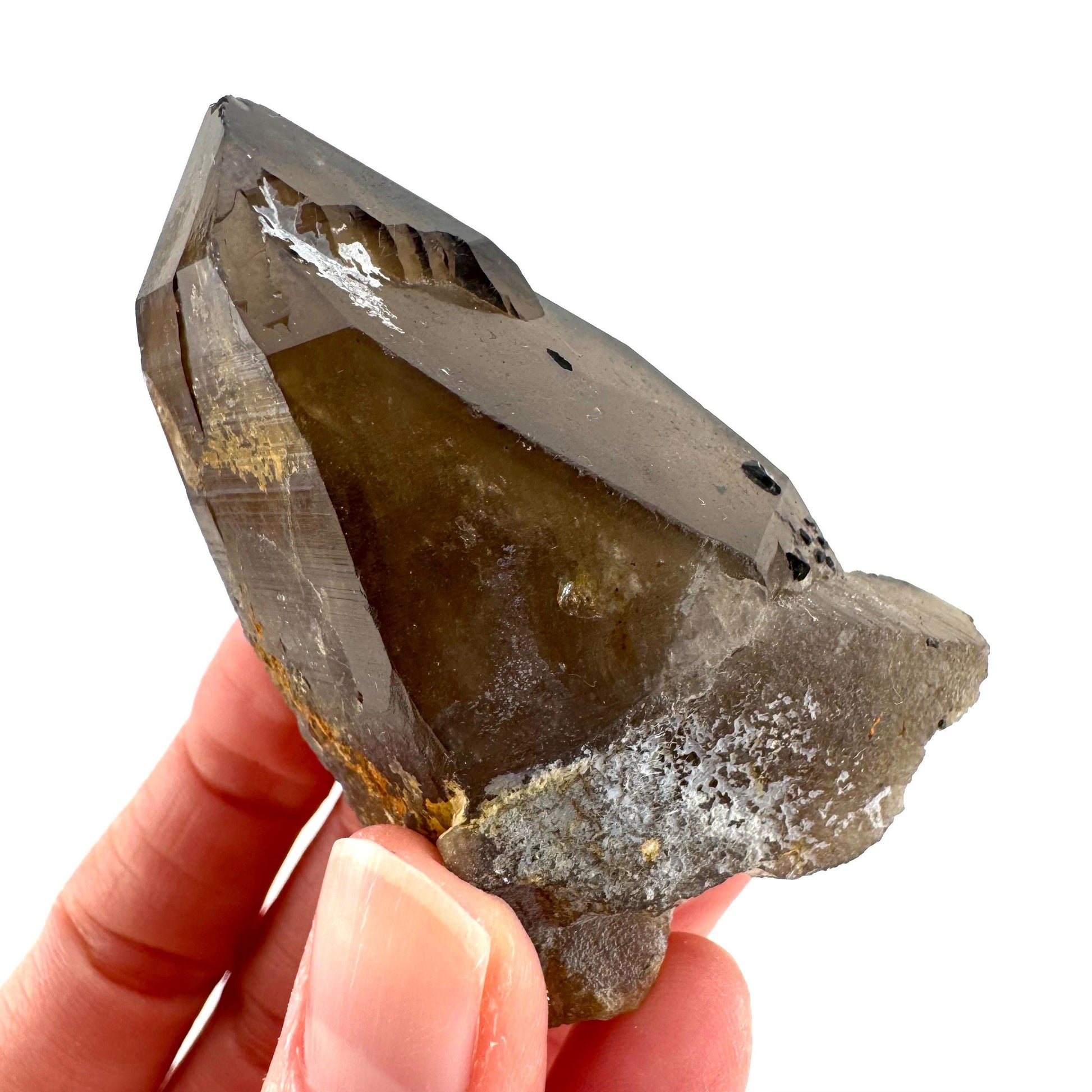 Namibian Smoky Quartz Crystal Point | Raw Mineral Specimen