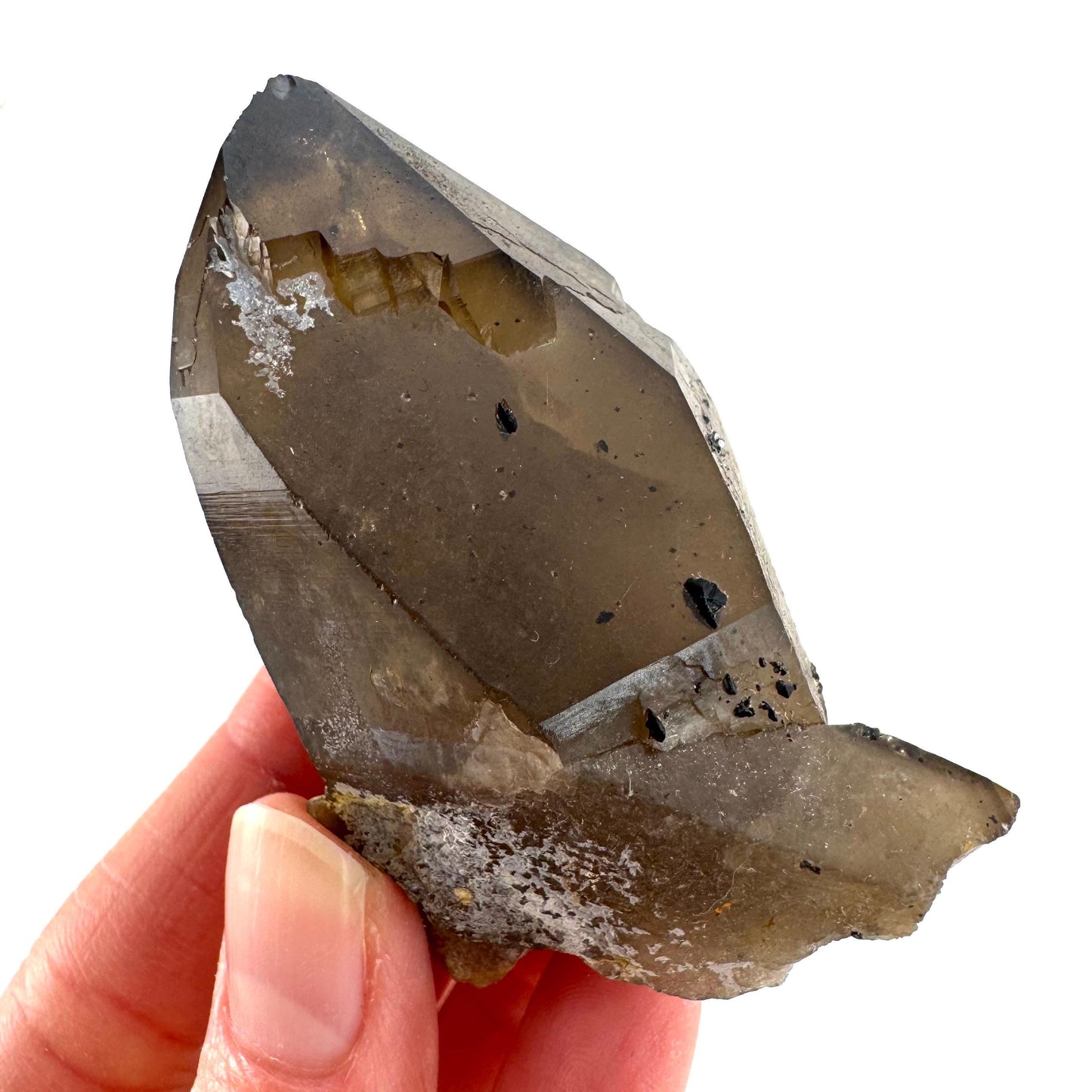Namibian Smoky Quartz Crystal Point | Raw Mineral Specimen