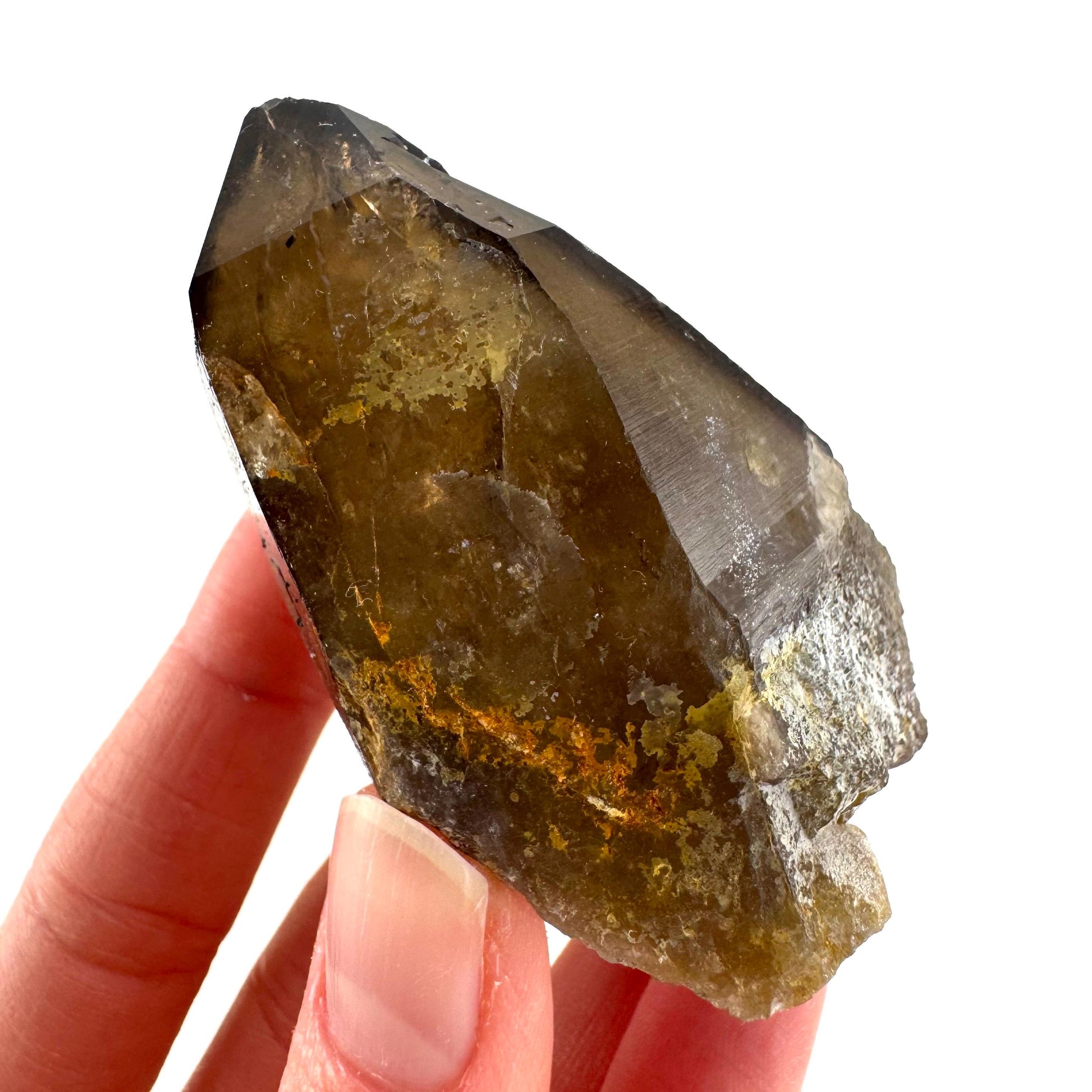 Namibian Smoky Quartz Crystal Point | Raw Mineral Specimen