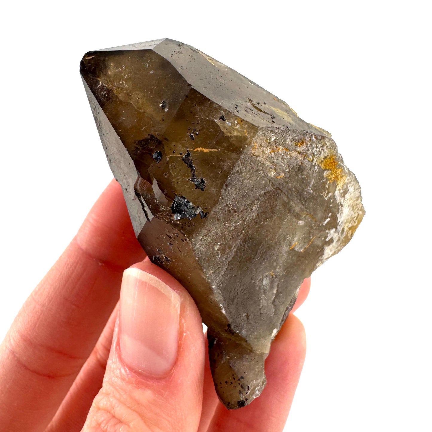 Namibian Smoky Quartz Crystal Point | Raw Mineral Specimen