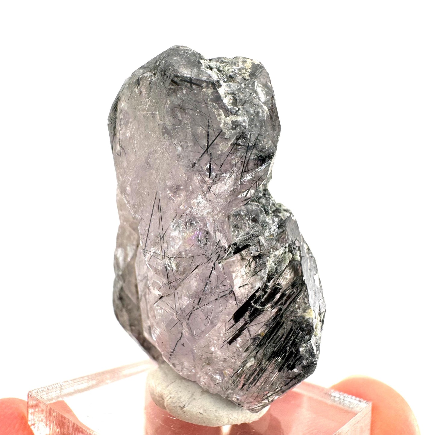 Fluorapatite with Actinolite Inclusions | natural purple crystal, mineral specimen from Pakistan