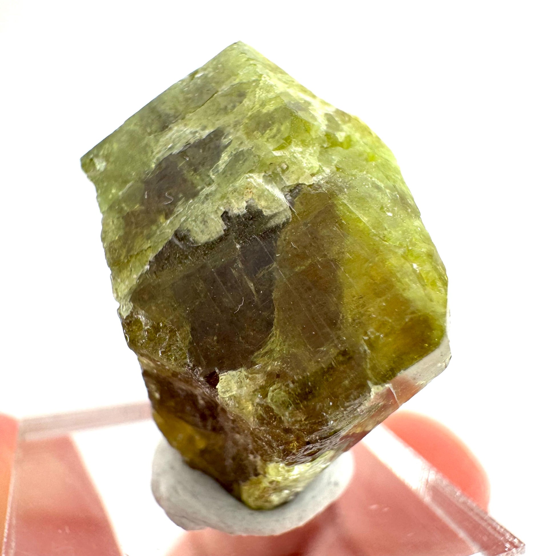 Andradite-Grossular Garnet | natural green crystal, raw mineral specimen from Mali