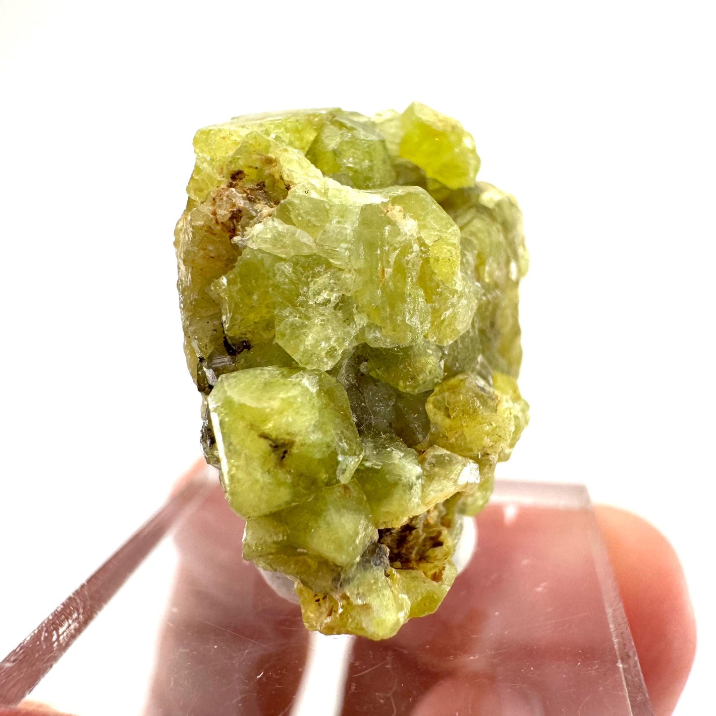 Andradite-Grossular Garnet | natural green crystal, raw mineral specimen from Mali