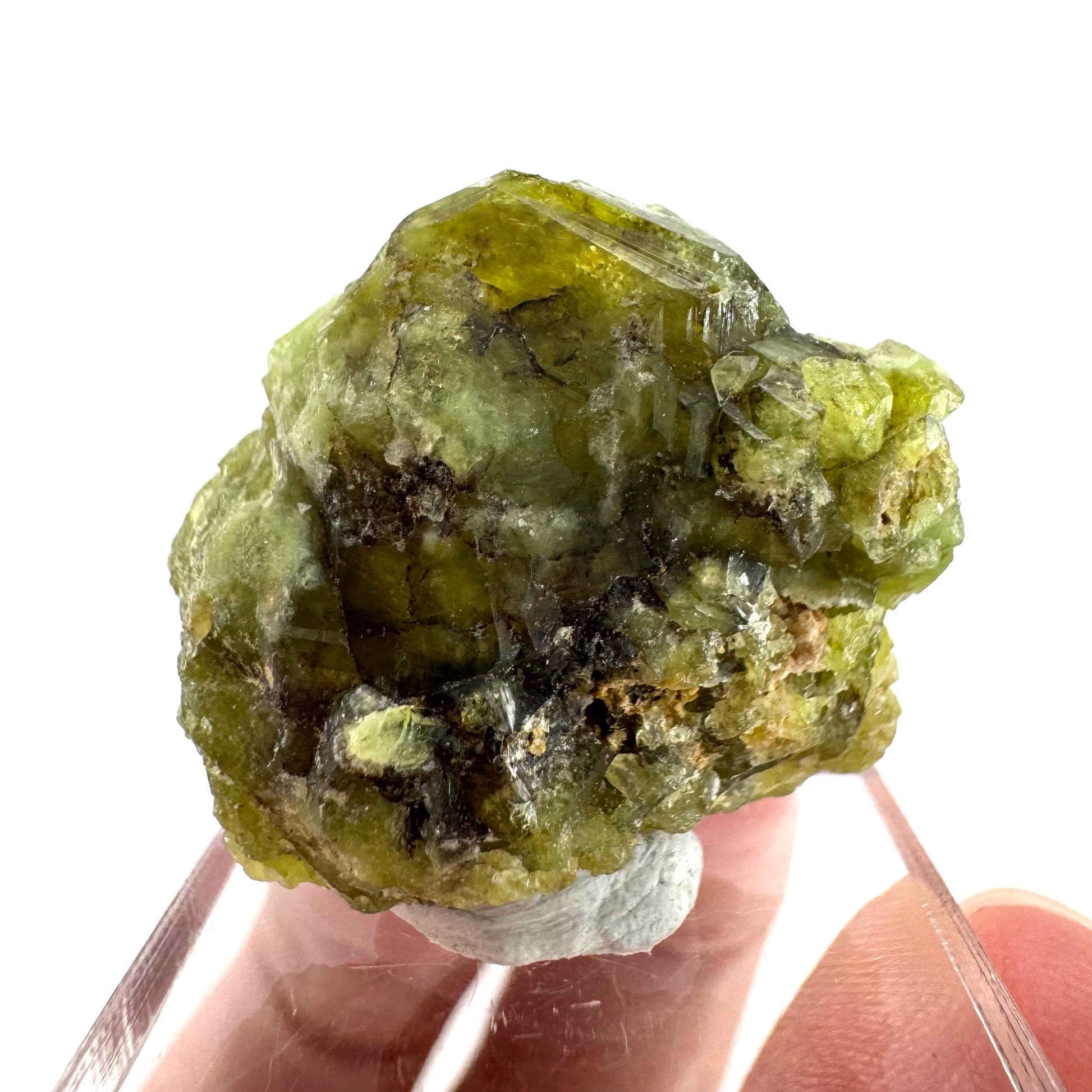 Andradite-Grossular Garnet | natural green crystal, raw mineral specimen from Mali
