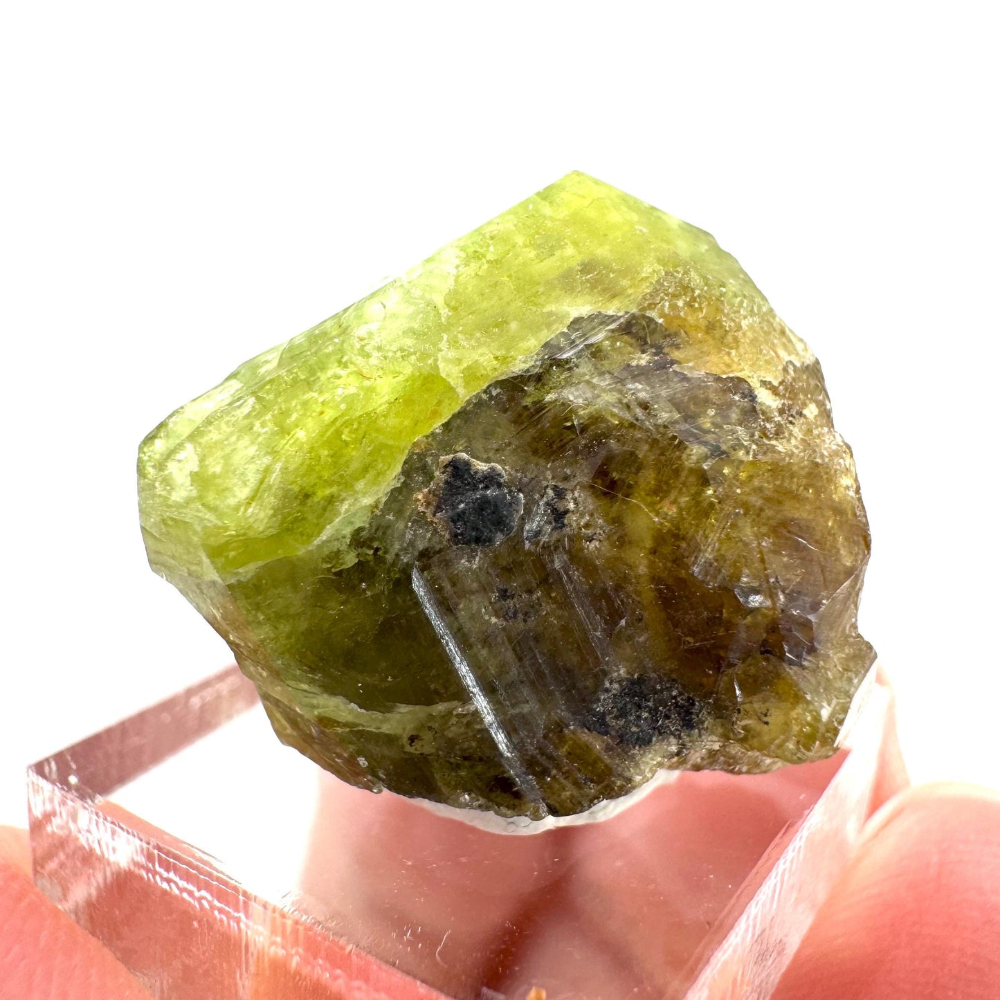 Andradite-Grossular Garnet | natural green crystal, raw mineral specimen from Mali
