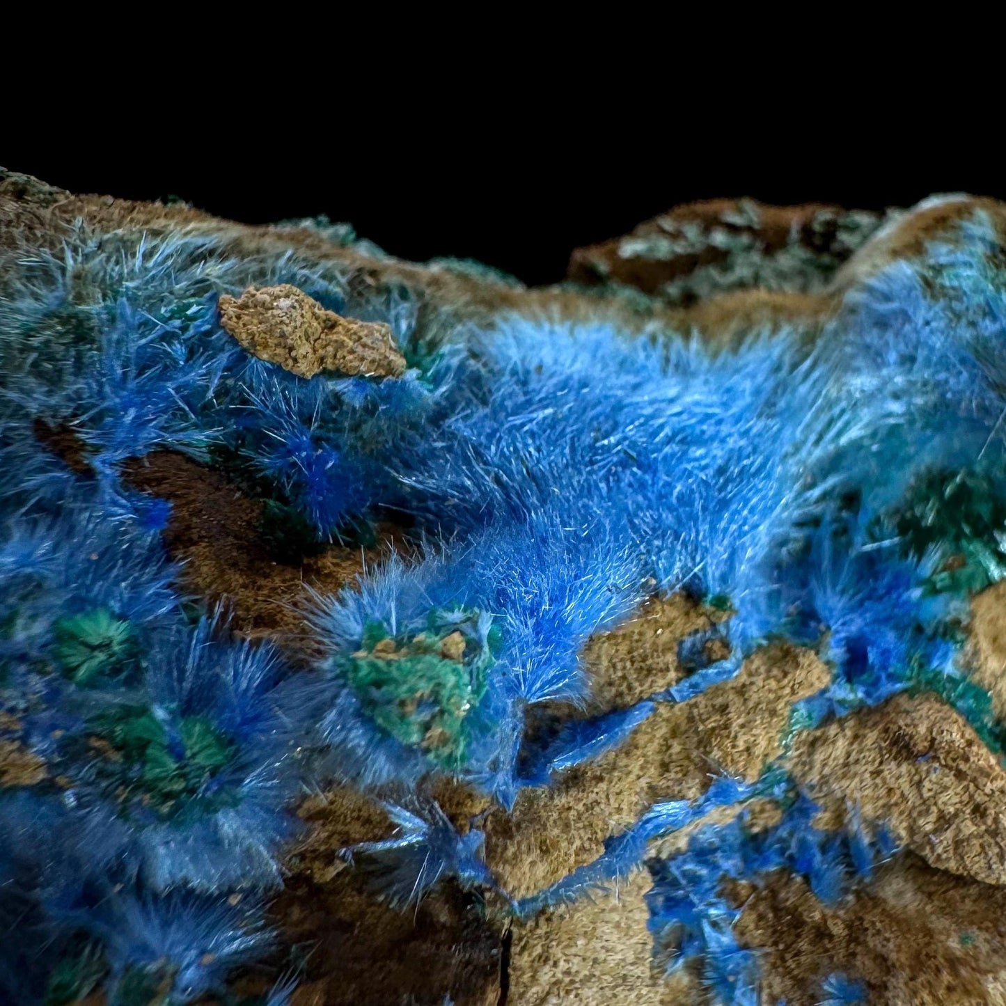 Cyanotrichite | fuzzy blue crystal, rare mineral specimen from Chile