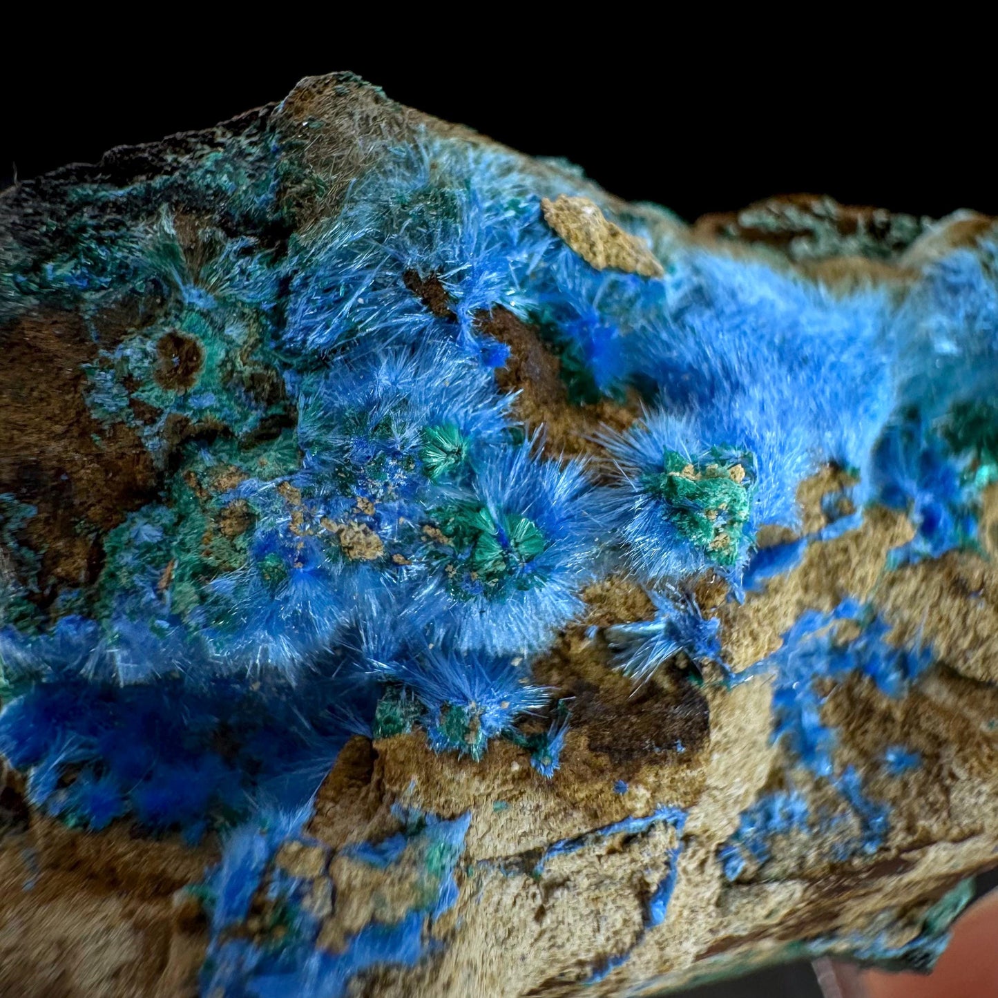Cyanotrichite | fuzzy blue crystal, rare mineral specimen from Chile