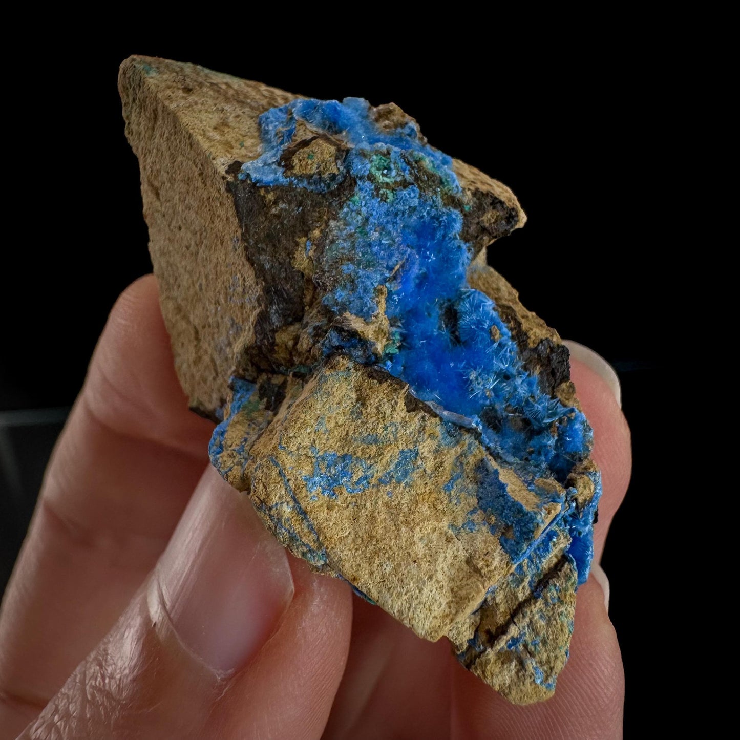 Cyanotrichite | fuzzy blue crystal, rare mineral specimen from Chile