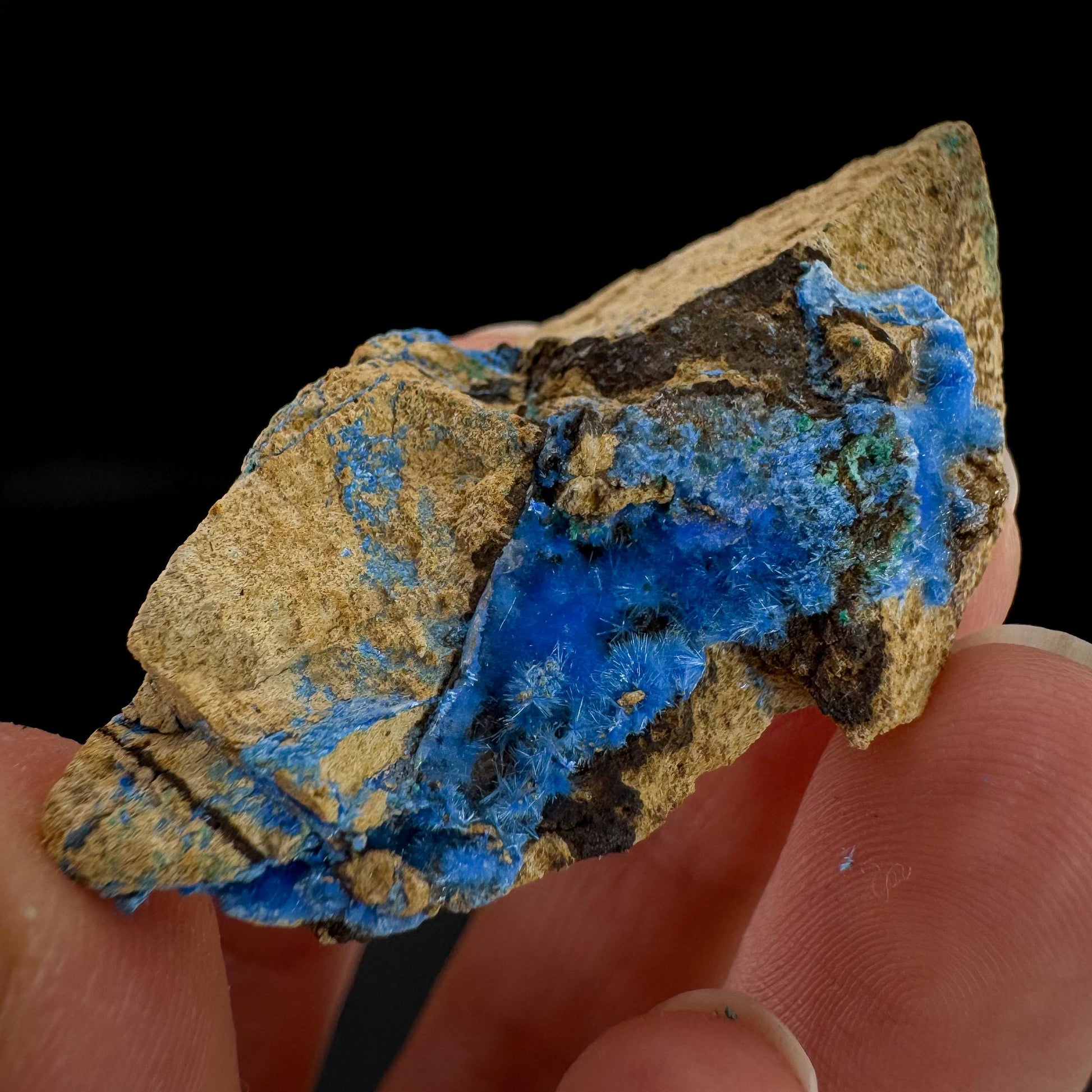 Cyanotrichite | fuzzy blue crystal, rare mineral specimen from Chile