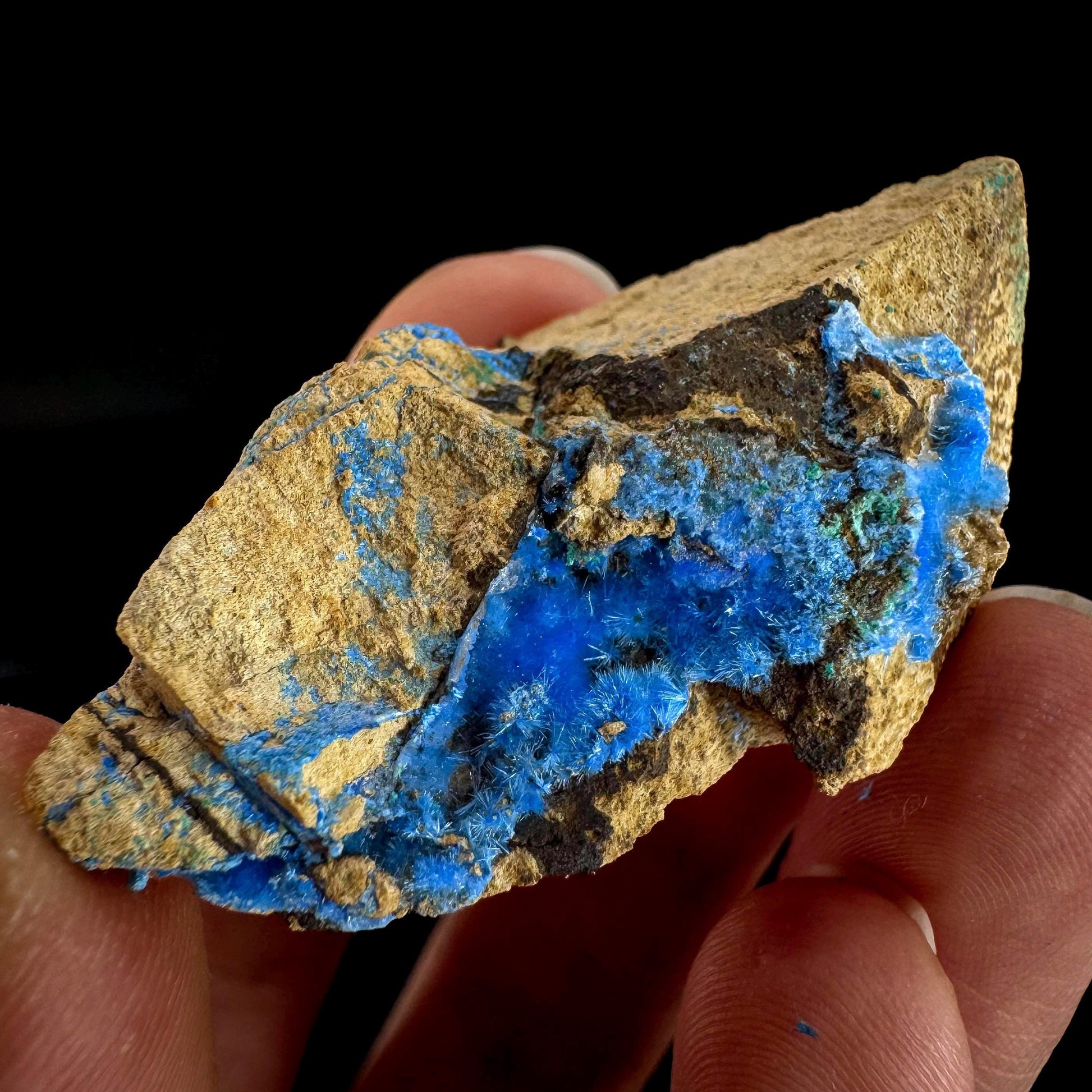 Cyanotrichite | fuzzy blue crystal, rare mineral specimen from Chile