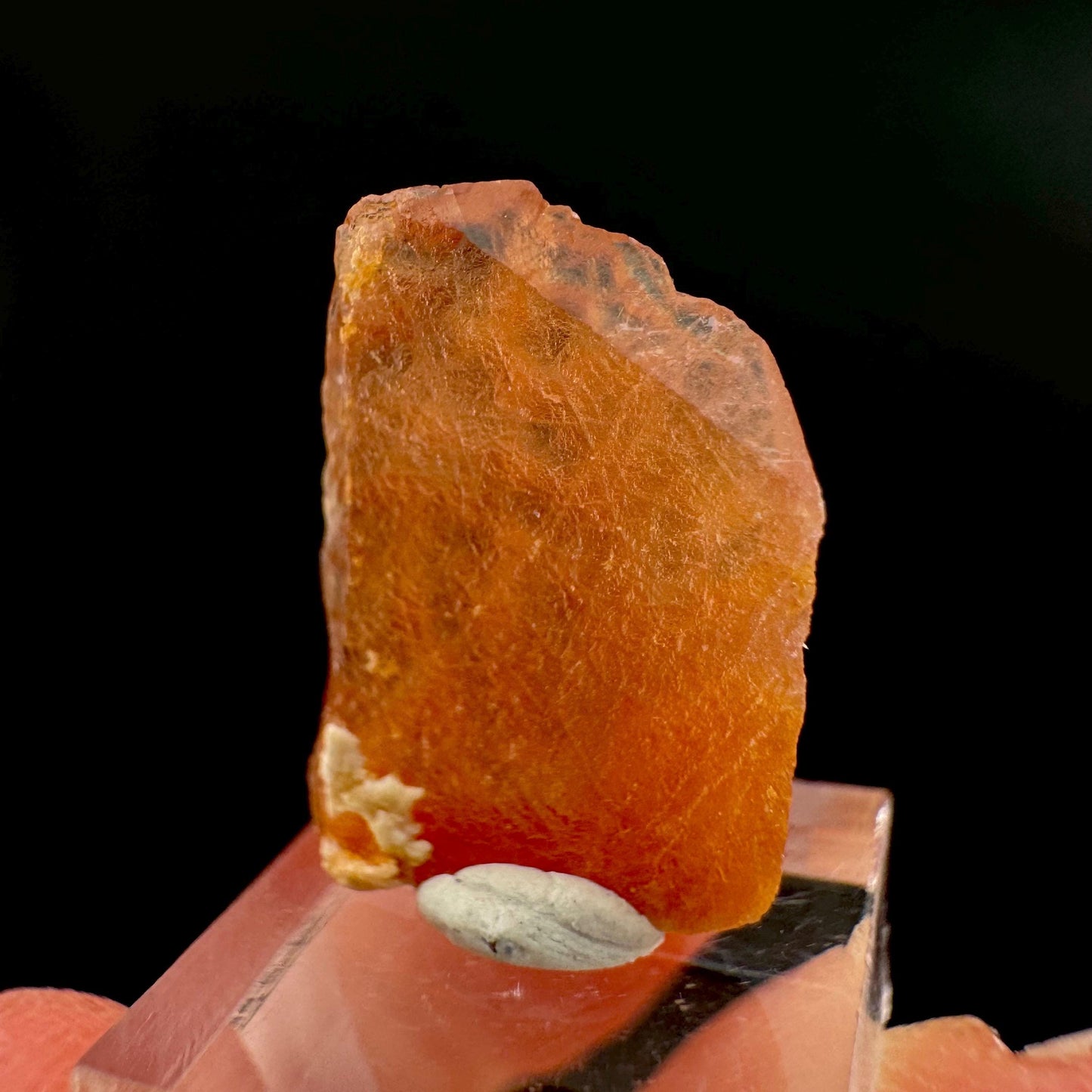 Rhodochrosite | pink crystal, mineral specimen from Pakistan