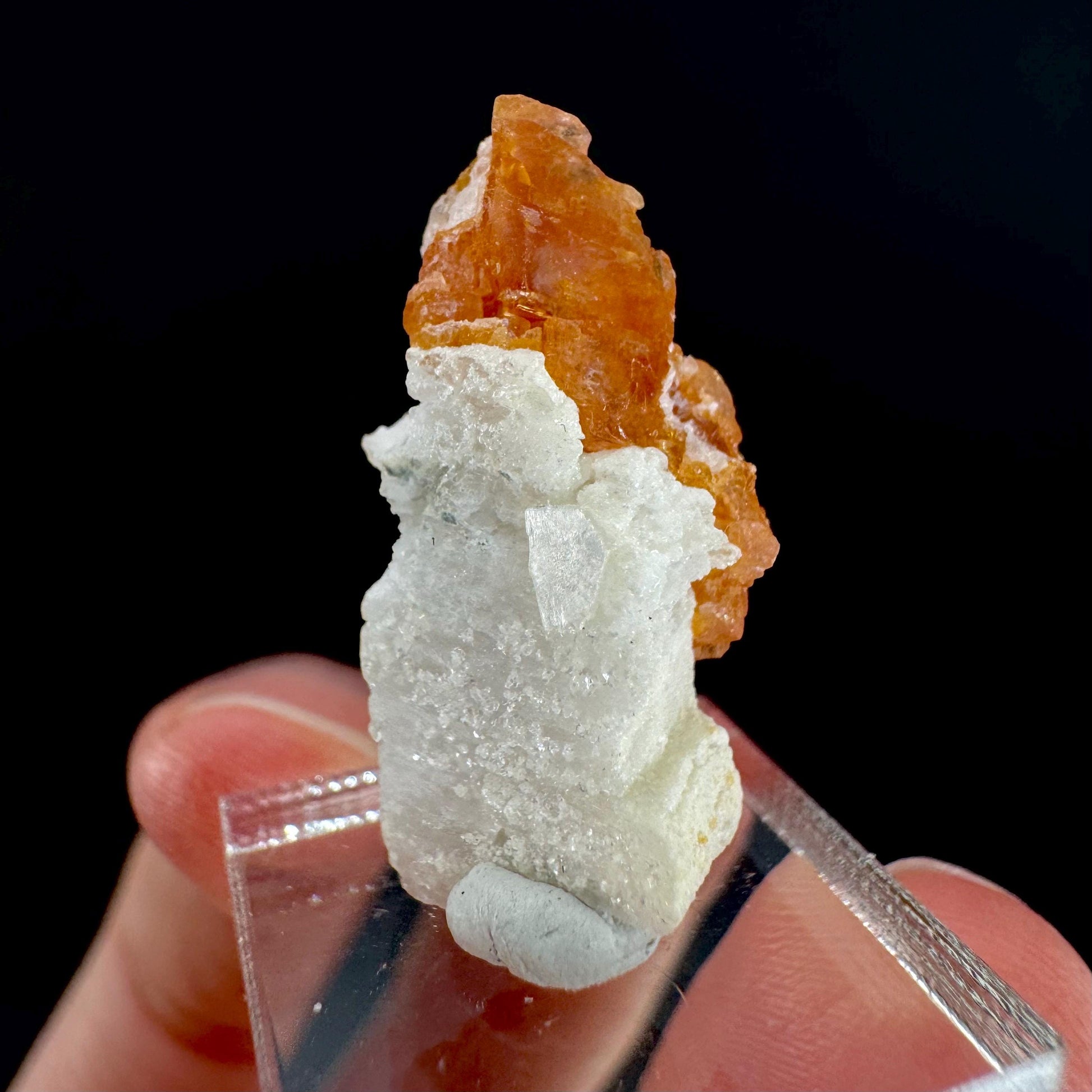 Rhodochrosite w/ Albite | pink crystal, mineral specimen from Pakistan