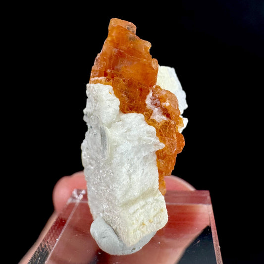 Rhodochrosite w/ Albite | pink crystal, mineral specimen from Pakistan