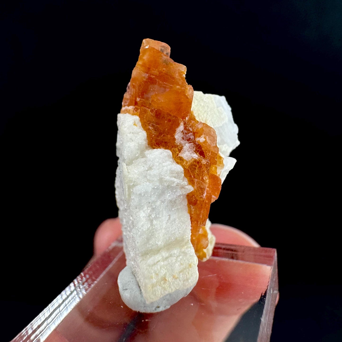 Rhodochrosite w/ Albite | pink crystal, mineral specimen from Pakistan