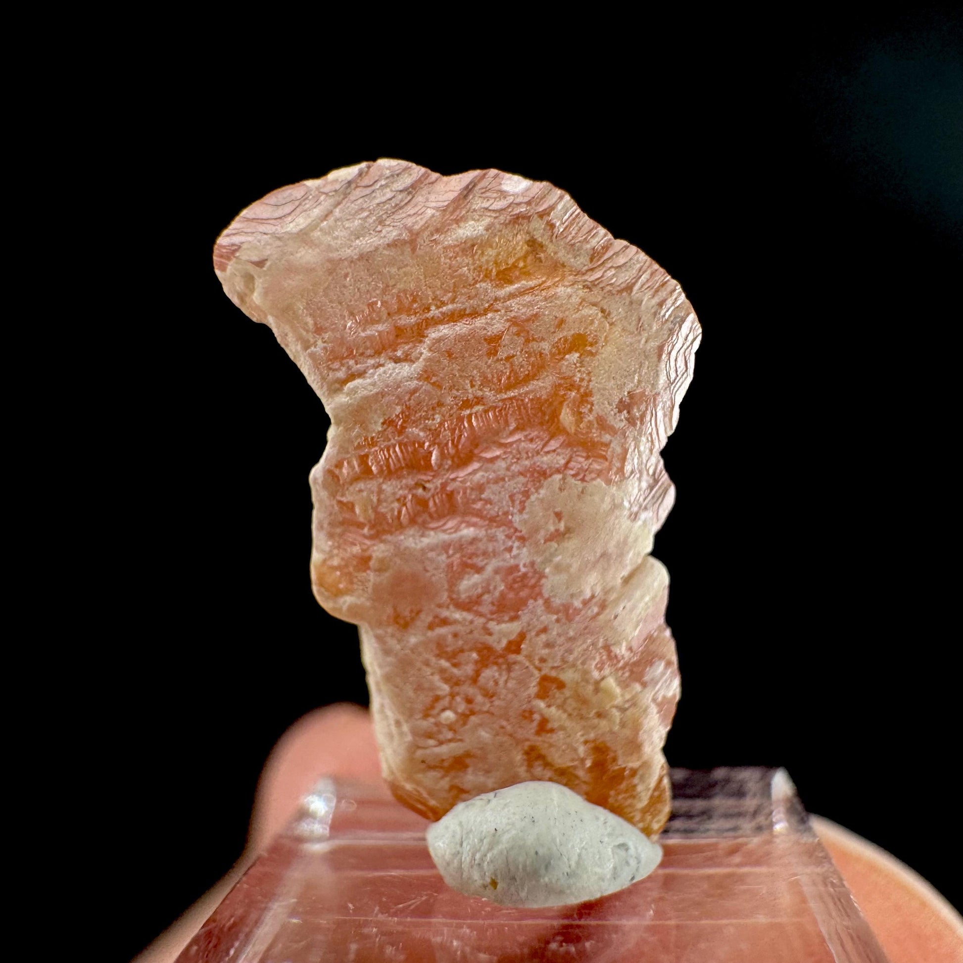 Rhodochrosite | pink crystal, mineral specimen from Pakistan