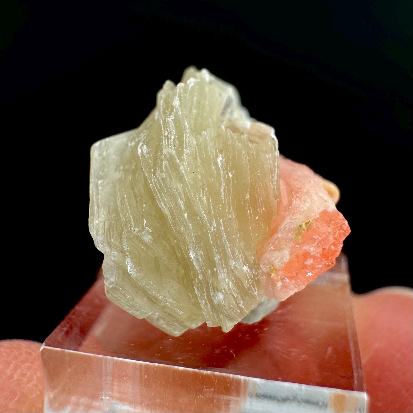 Rhodochrosite w/ Muscovite | pink crystal, mineral specimen from Pakistan