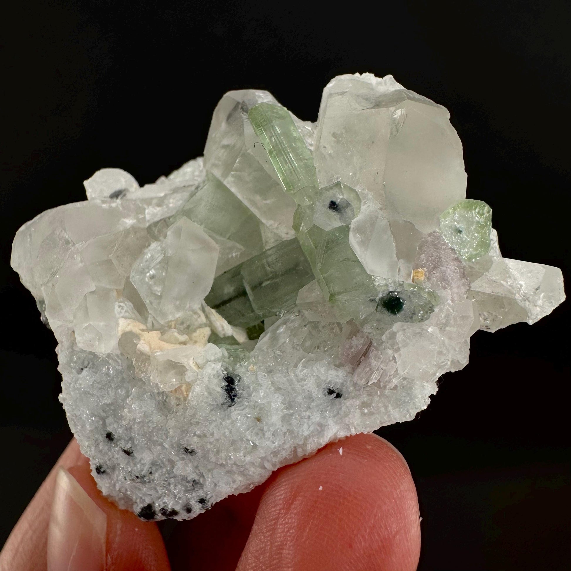 Tourmaline on Quartz | Natural Green Crystal, Mineral Specimen from Pakistan