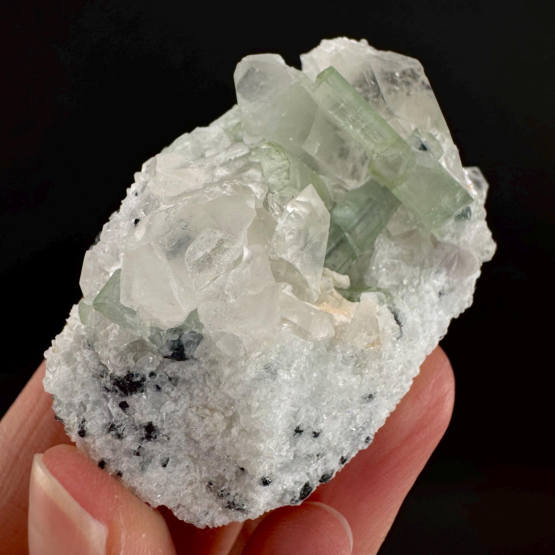 Tourmaline on Quartz | Natural Green Crystal, Mineral Specimen from Pakistan