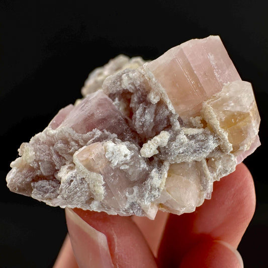 Tourmaline on Matrix | Natural Pink Crystal, Mineral Specimen from Pakistan