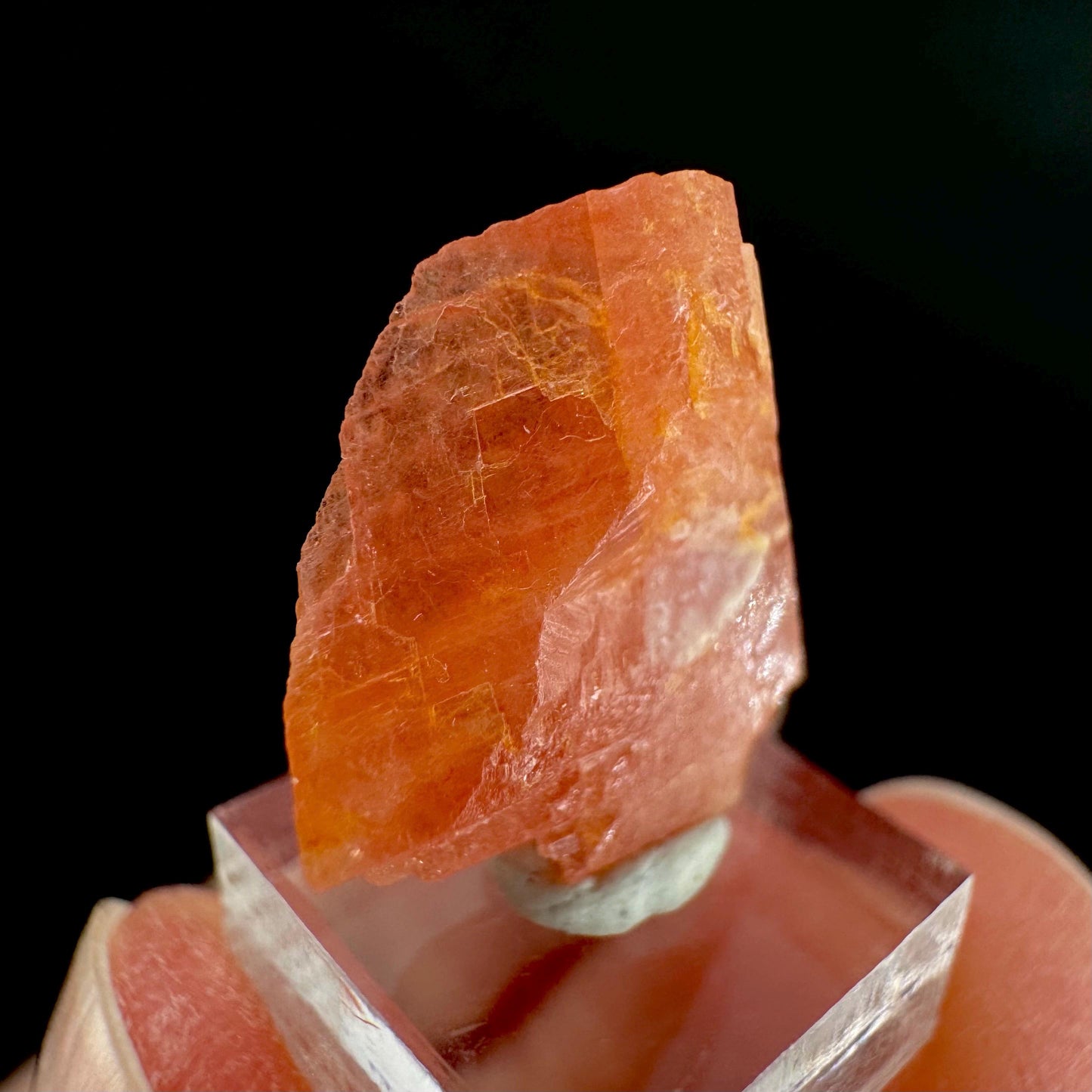 Rhodochrosite | pink crystal, mineral specimen from Pakistan