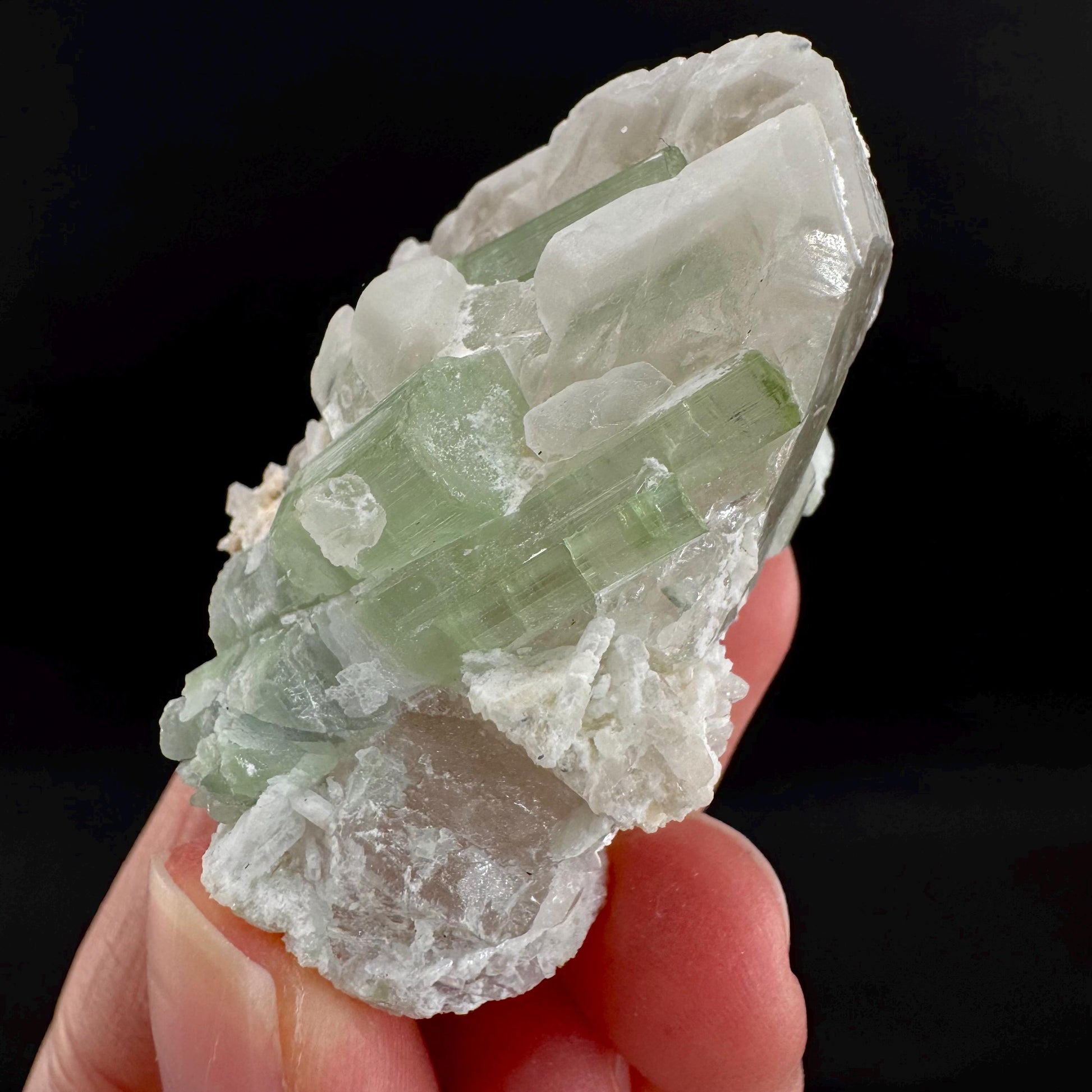 Tourmaline on Quartz | Natural Green Crystal, Mineral Specimen from Pakistan