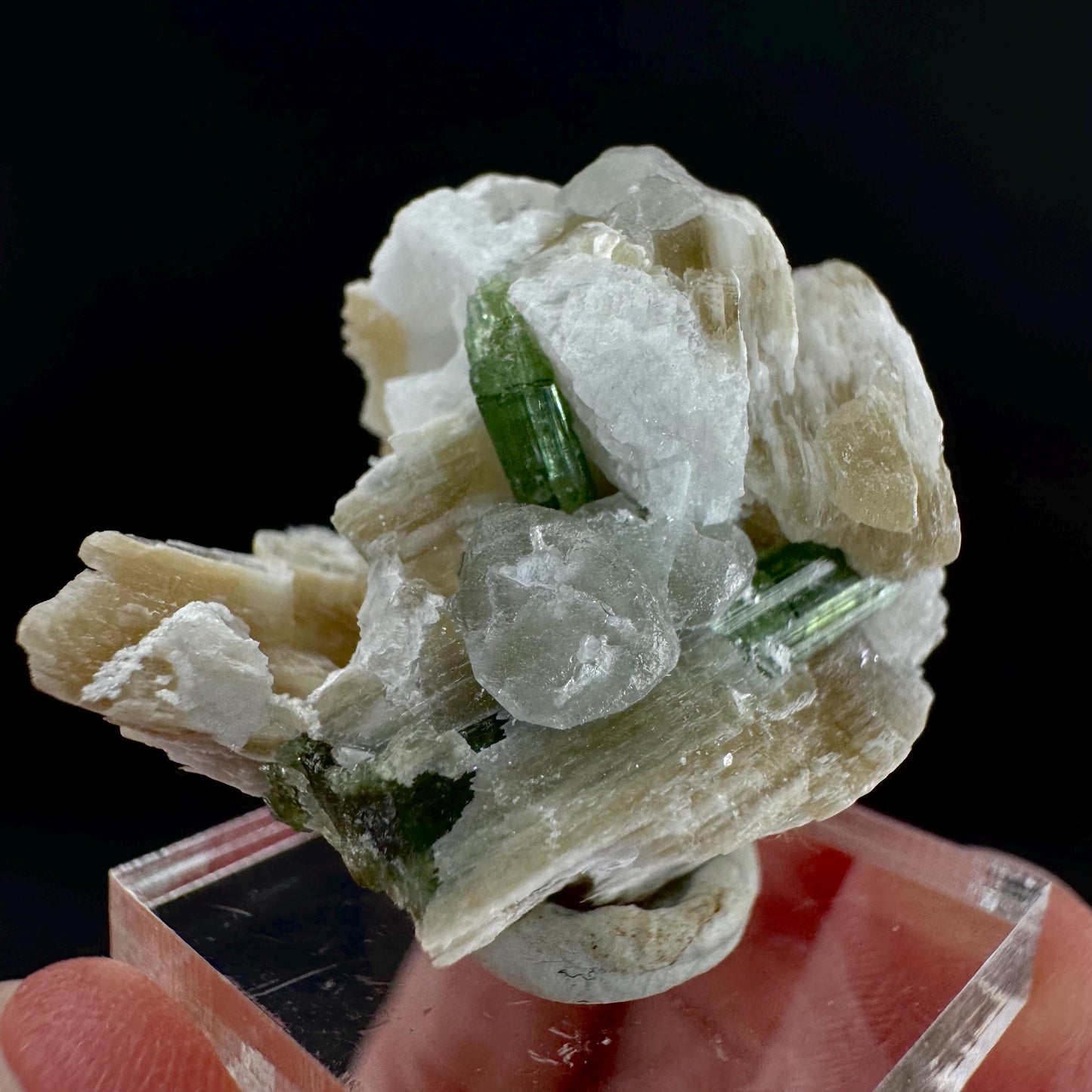 Tourmaline with Fluorapatite & Muscovite | Green Crystal, Mineral Specimen from Pakistan