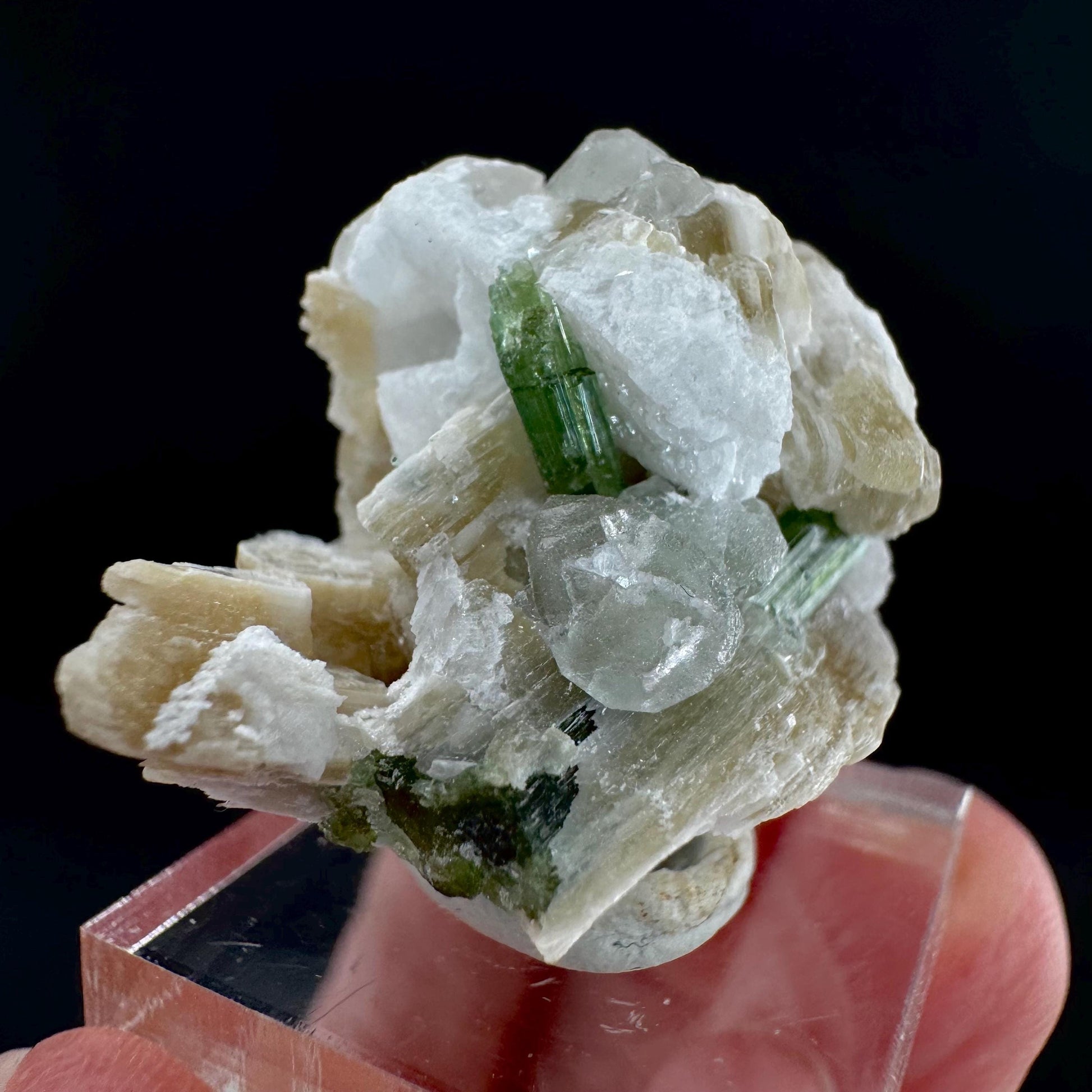 Tourmaline with Fluorapatite & Muscovite | Green Crystal, Mineral Specimen from Pakistan