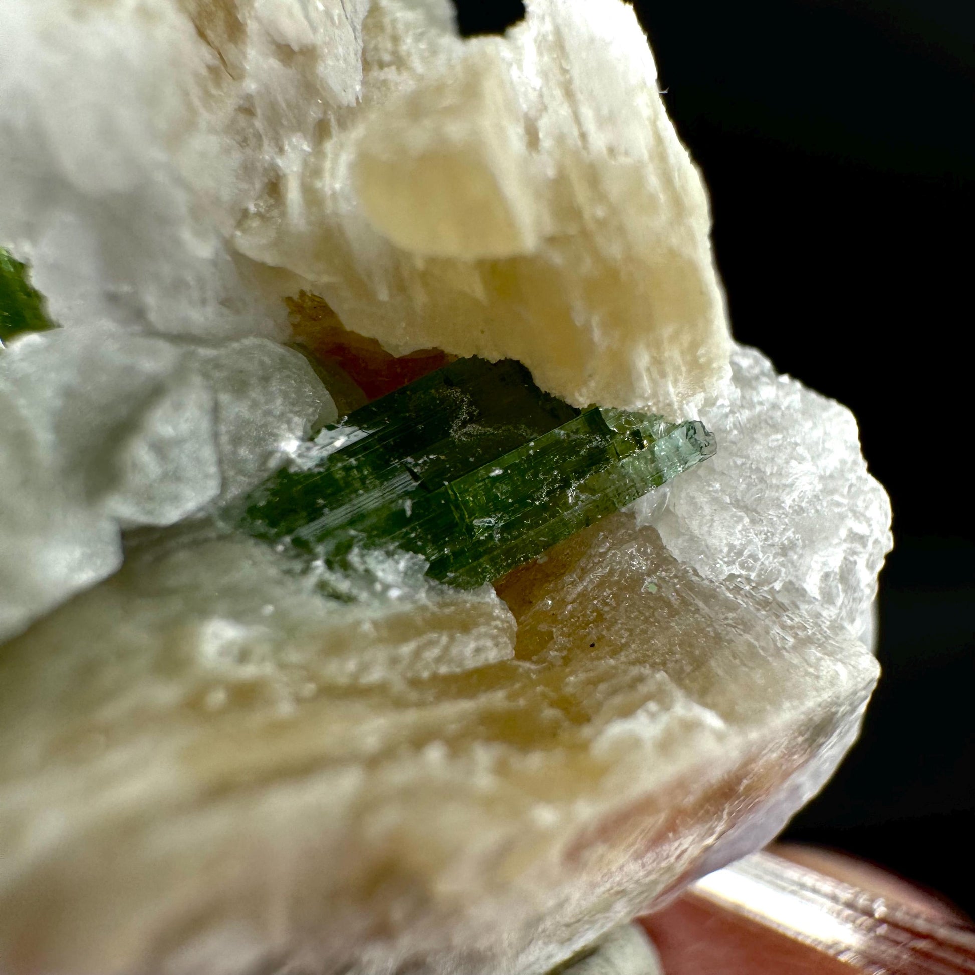 Tourmaline with Fluorapatite & Muscovite | Green Crystal, Mineral Specimen from Pakistan