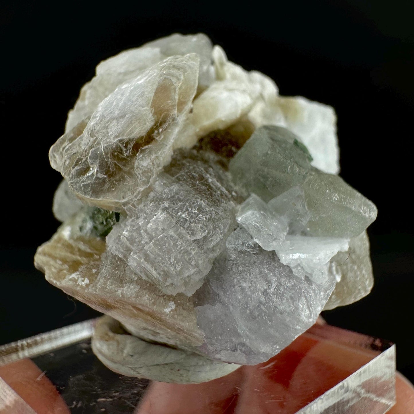 Tourmaline with Fluorapatite & Muscovite | Green Crystal, Mineral Specimen from Pakistan