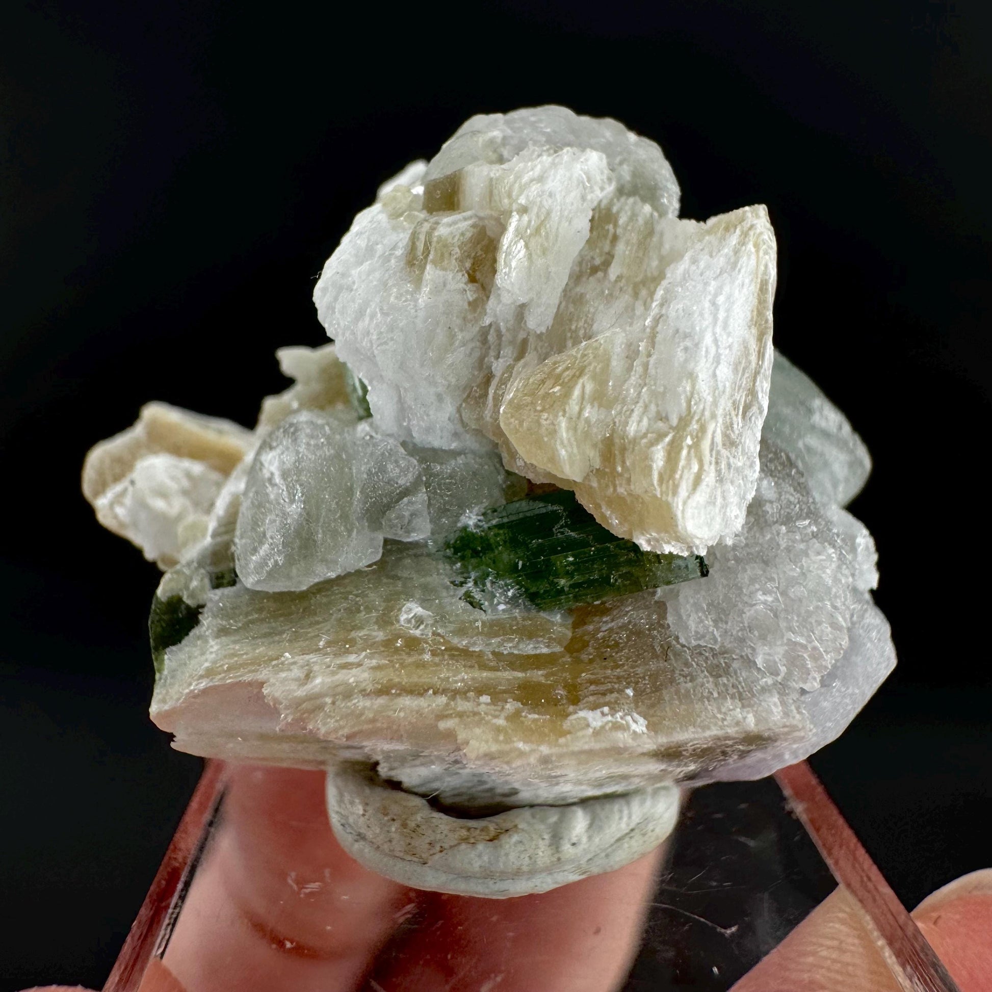 Tourmaline with Fluorapatite & Muscovite | Green Crystal, Mineral Specimen from Pakistan