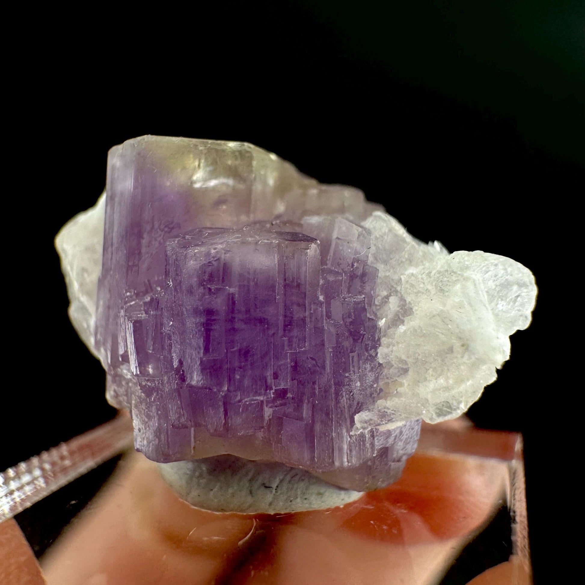 Purple Fluorapatite on Albite | natural crystal, rare mineral specimen from Afghanistan