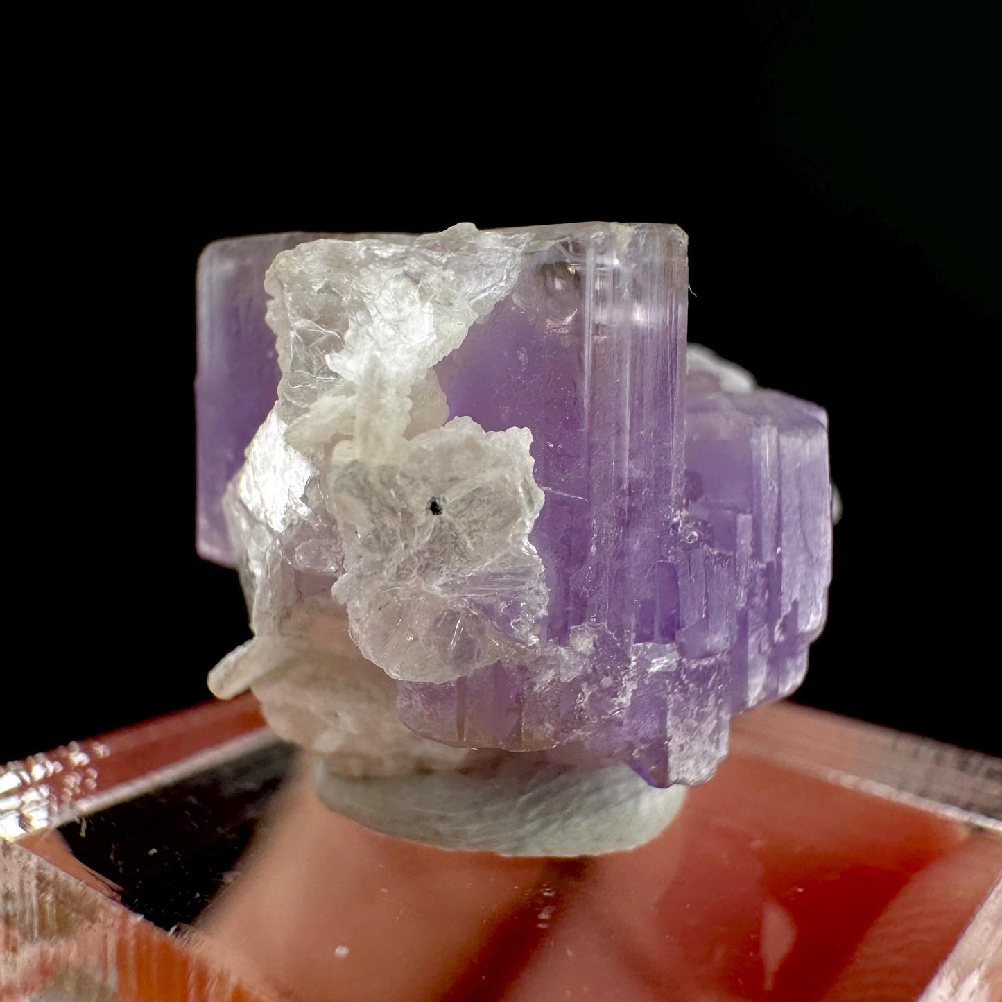 Purple Fluorapatite on Albite | natural crystal, rare mineral specimen from Afghanistan
