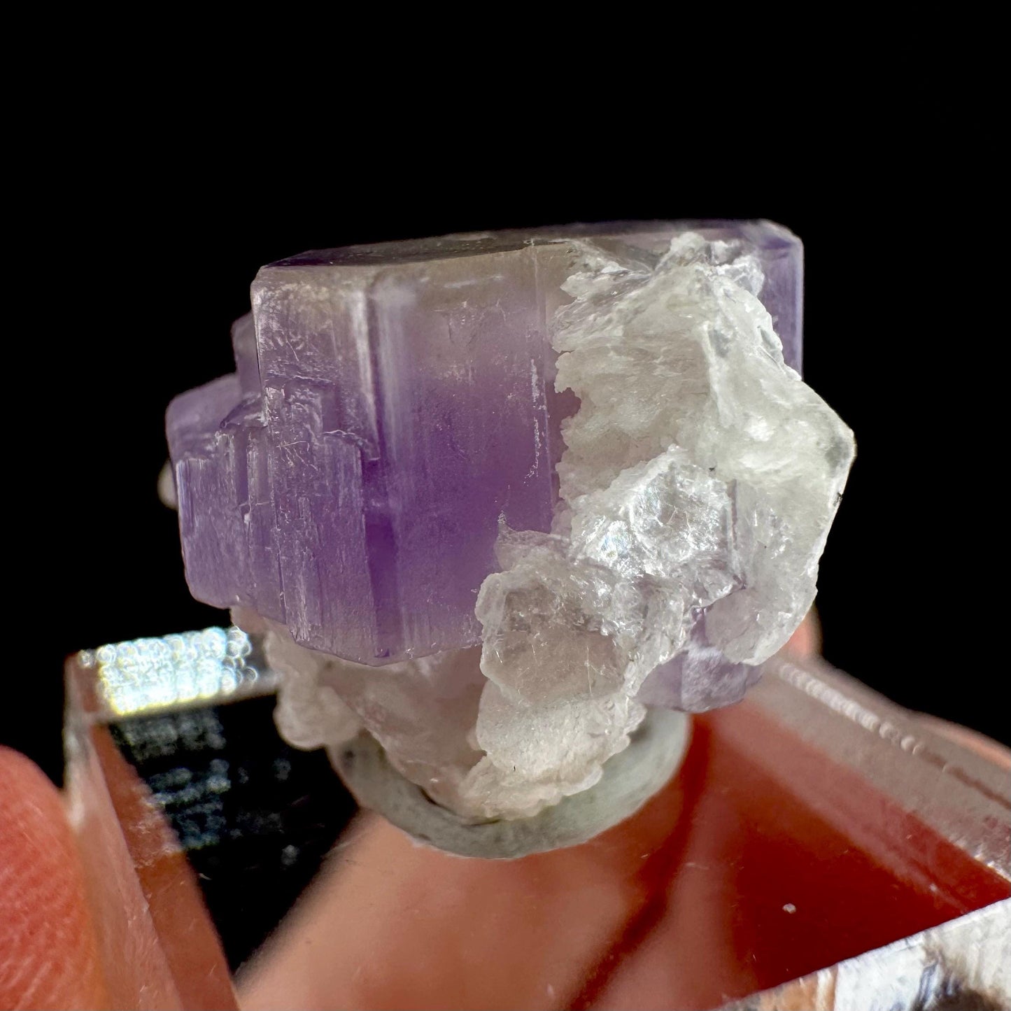 Purple Fluorapatite on Albite | natural crystal, rare mineral specimen from Afghanistan