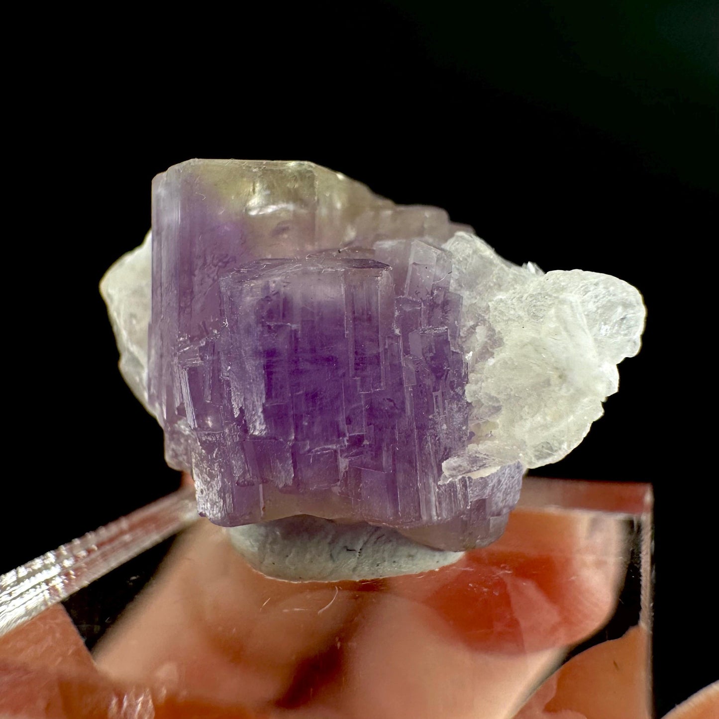 Purple Fluorapatite on Albite | natural crystal, rare mineral specimen from Afghanistan