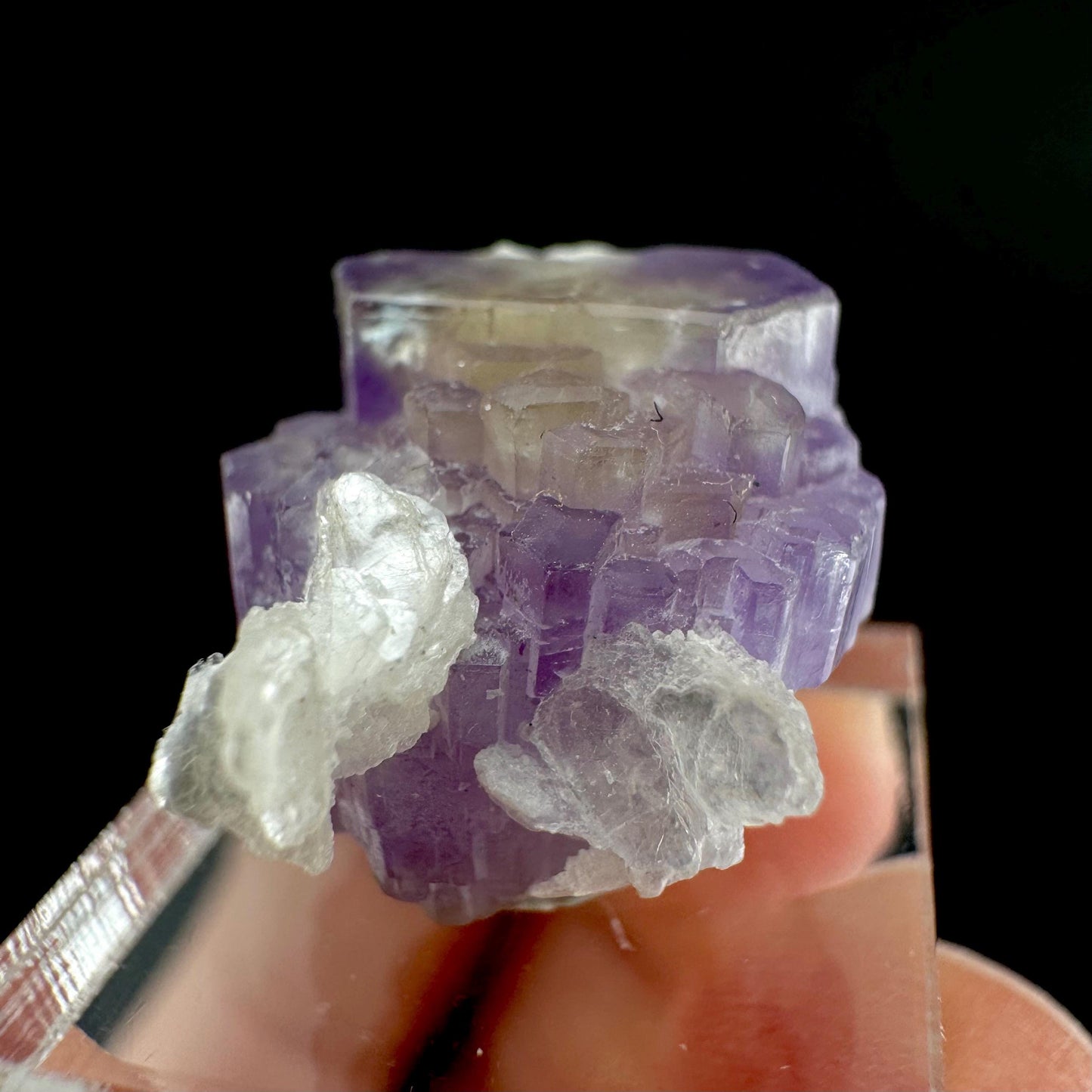 Purple Fluorapatite on Albite | natural crystal, rare mineral specimen from Afghanistan