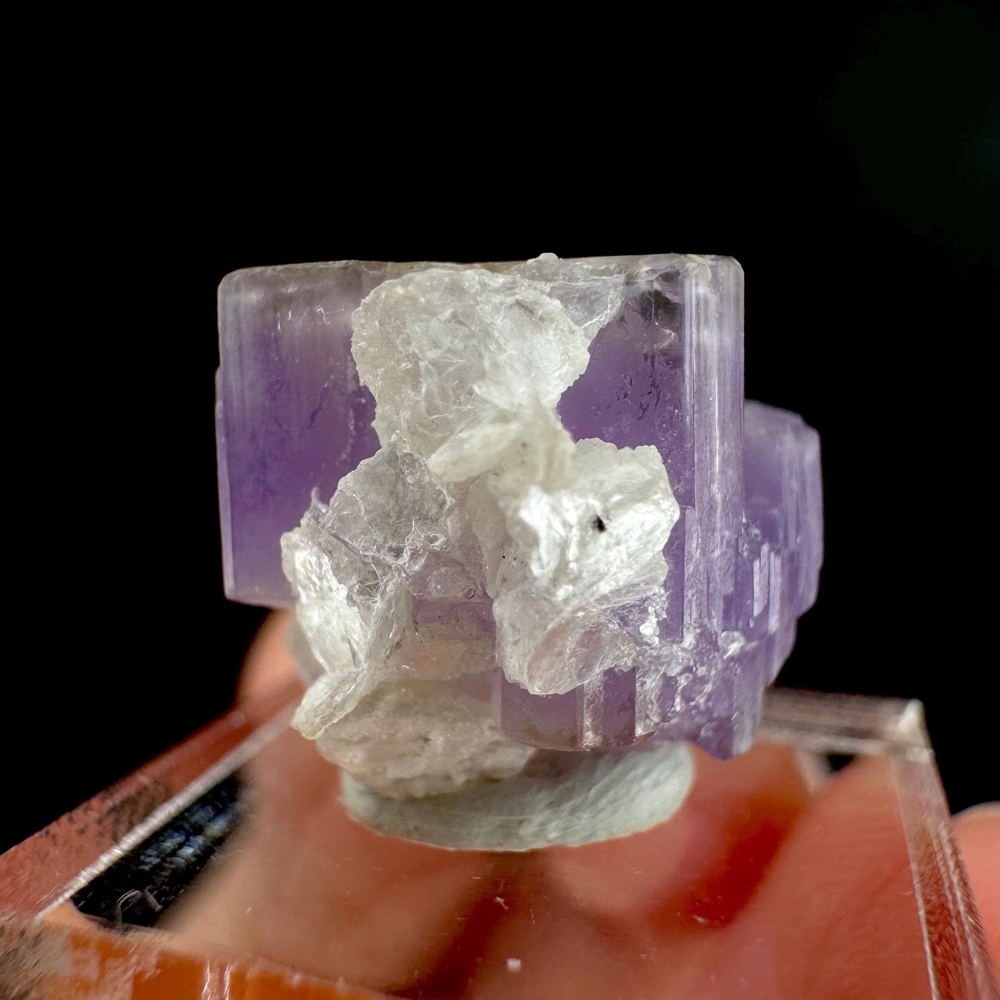 Purple Fluorapatite on Albite | natural crystal, rare mineral specimen from Afghanistan