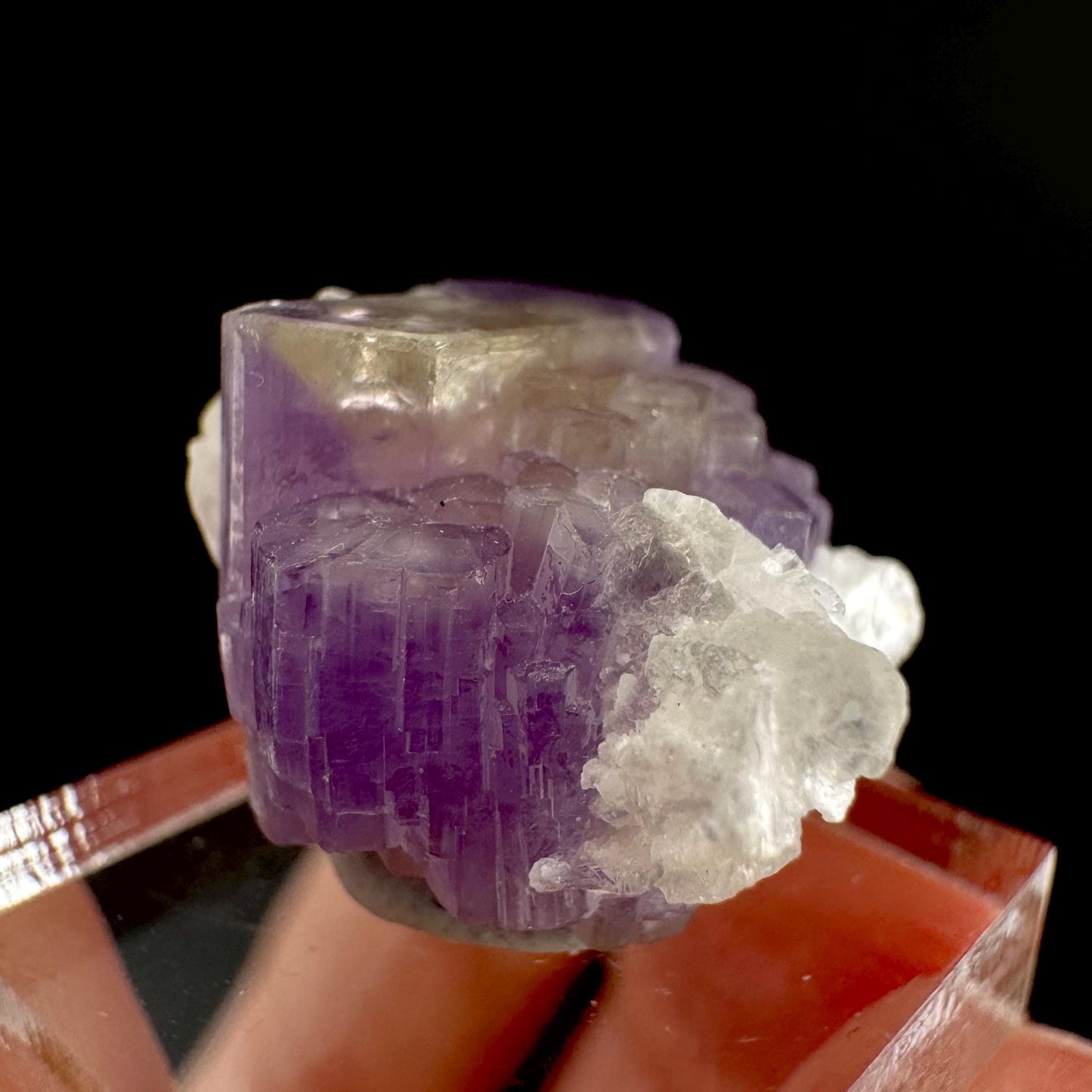 Purple Fluorapatite on Albite | natural crystal, rare mineral specimen from Afghanistan