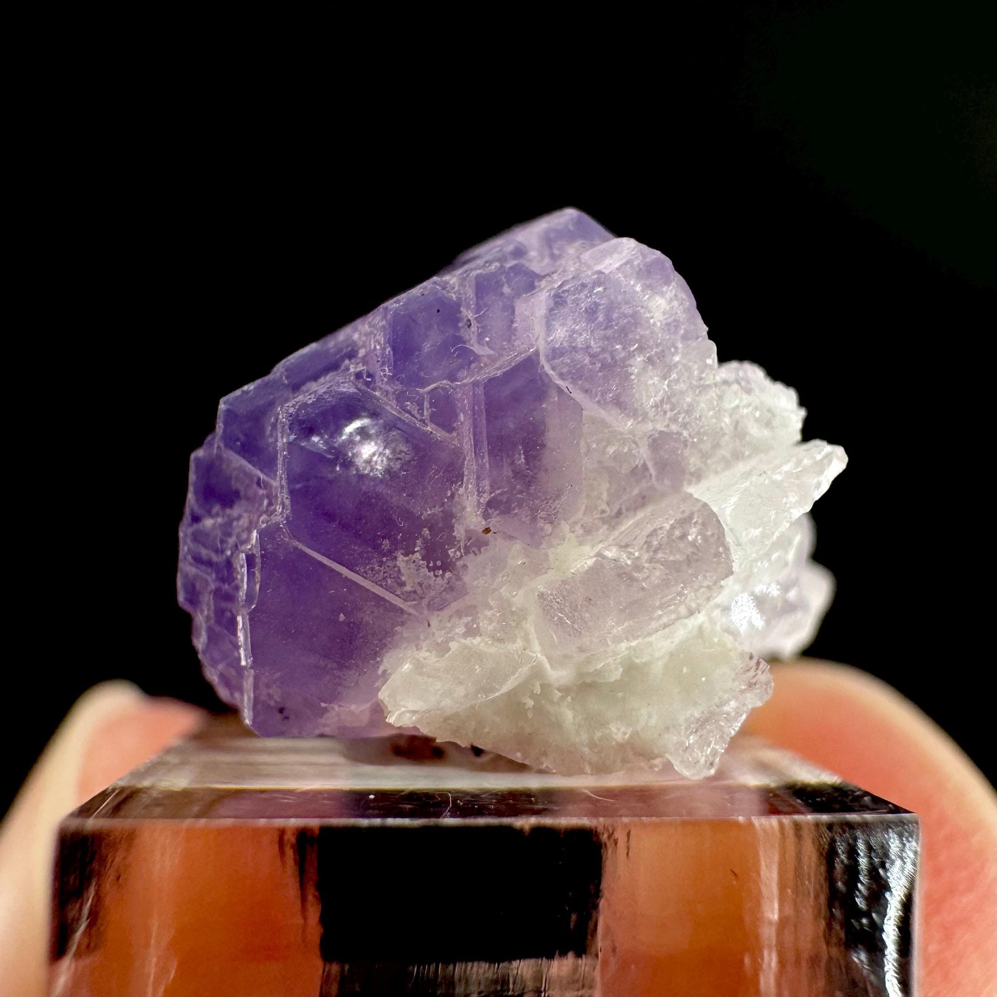 Purple Fluorapatite | natural crystal, rare mineral specimen from Afghanistan