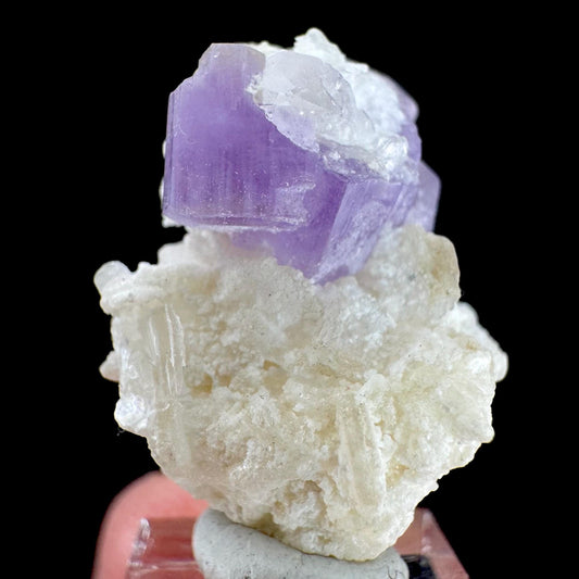 Purple Fluorapatite on Albite | natural crystal, rare mineral specimen from Afghanistan