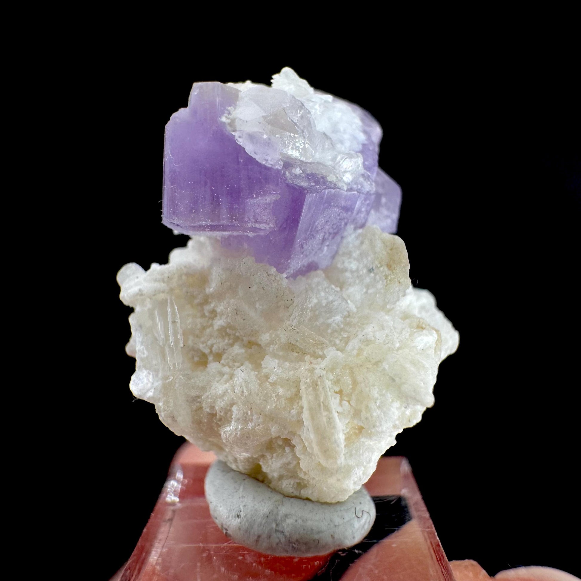 Purple Fluorapatite on Albite | natural crystal, rare mineral specimen from Afghanistan