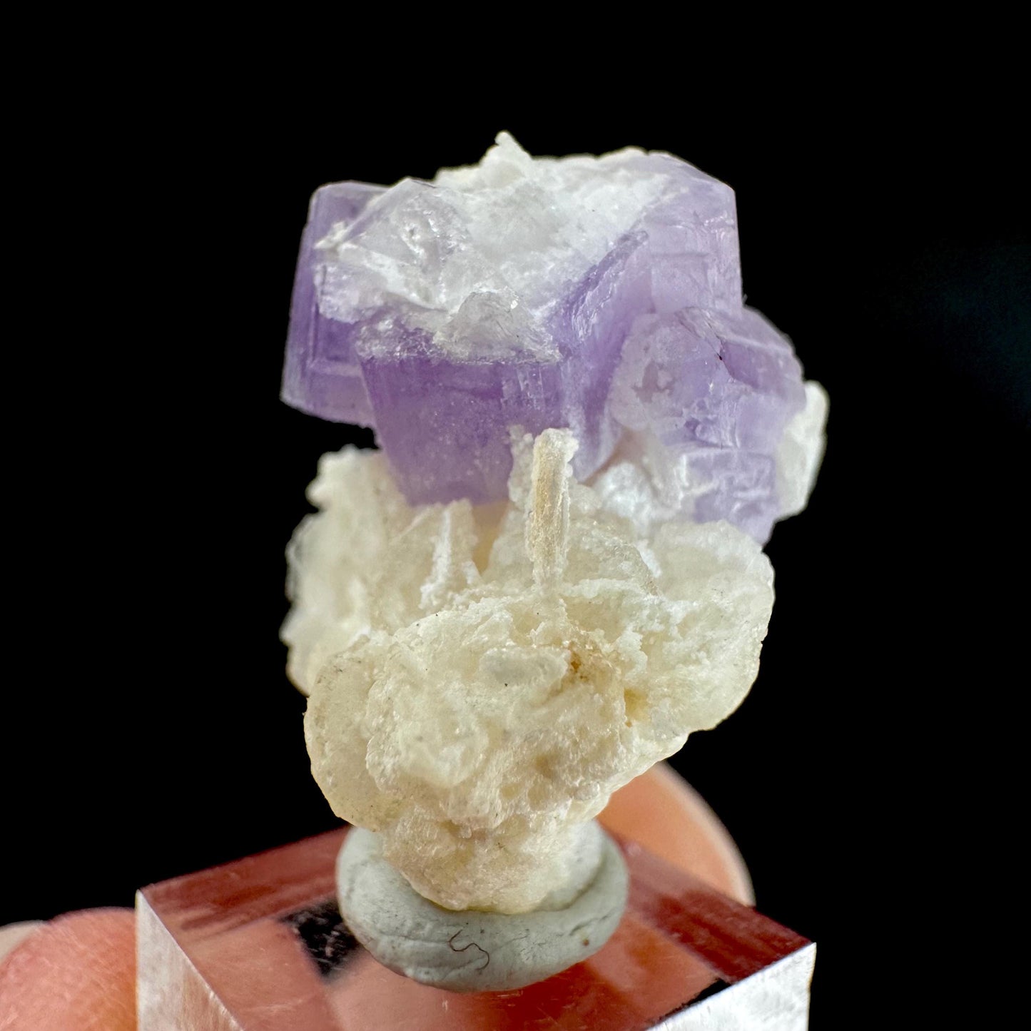 Purple Fluorapatite on Albite | natural crystal, rare mineral specimen from Afghanistan