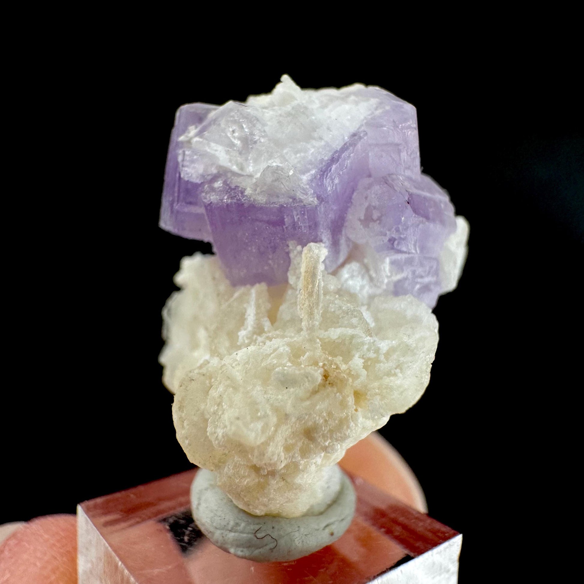 Purple Fluorapatite on Albite | natural crystal, rare mineral specimen from Afghanistan