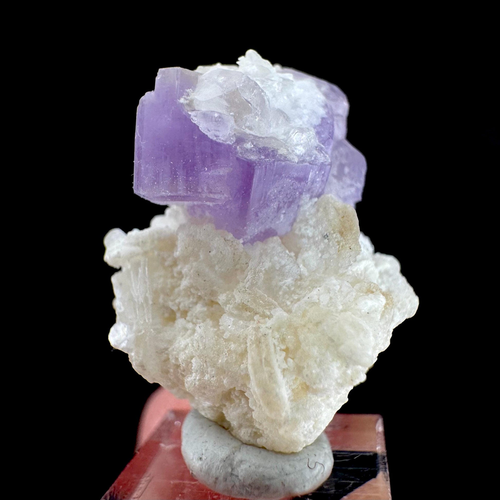 Purple Fluorapatite on Albite | natural crystal, rare mineral specimen from Afghanistan