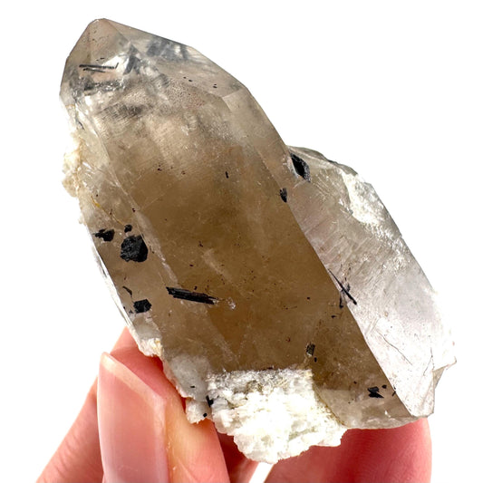 Black Tourmaline on Smoky Quartz | schorl crystal cluster, mineral specimen from Namibia