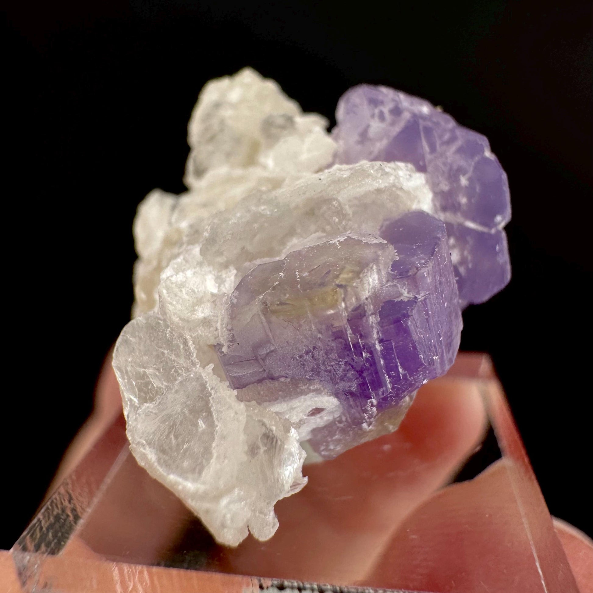 Purple Fluorapatite on Albite | natural crystal, rare mineral specimen from Afghanistan