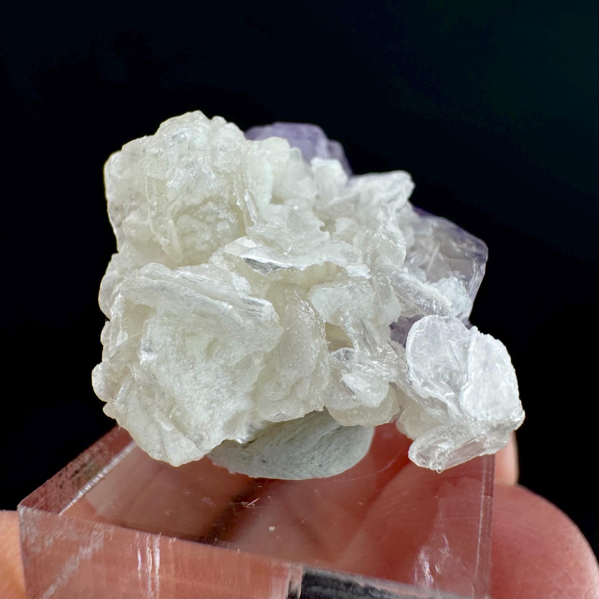 Purple Fluorapatite on Albite | natural crystal, rare mineral specimen from Afghanistan